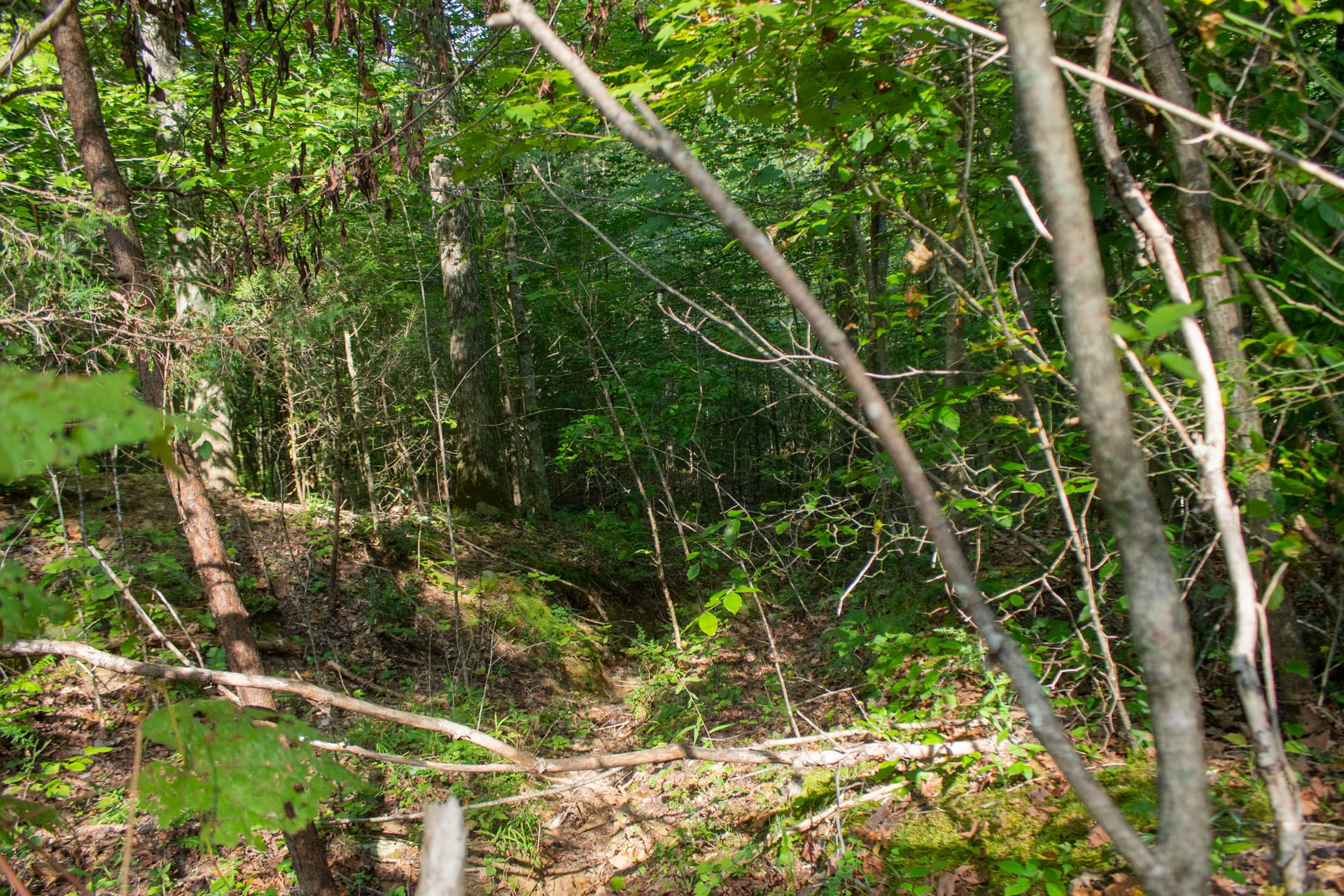 Bluegrass Ridge Tract 6 photo 7