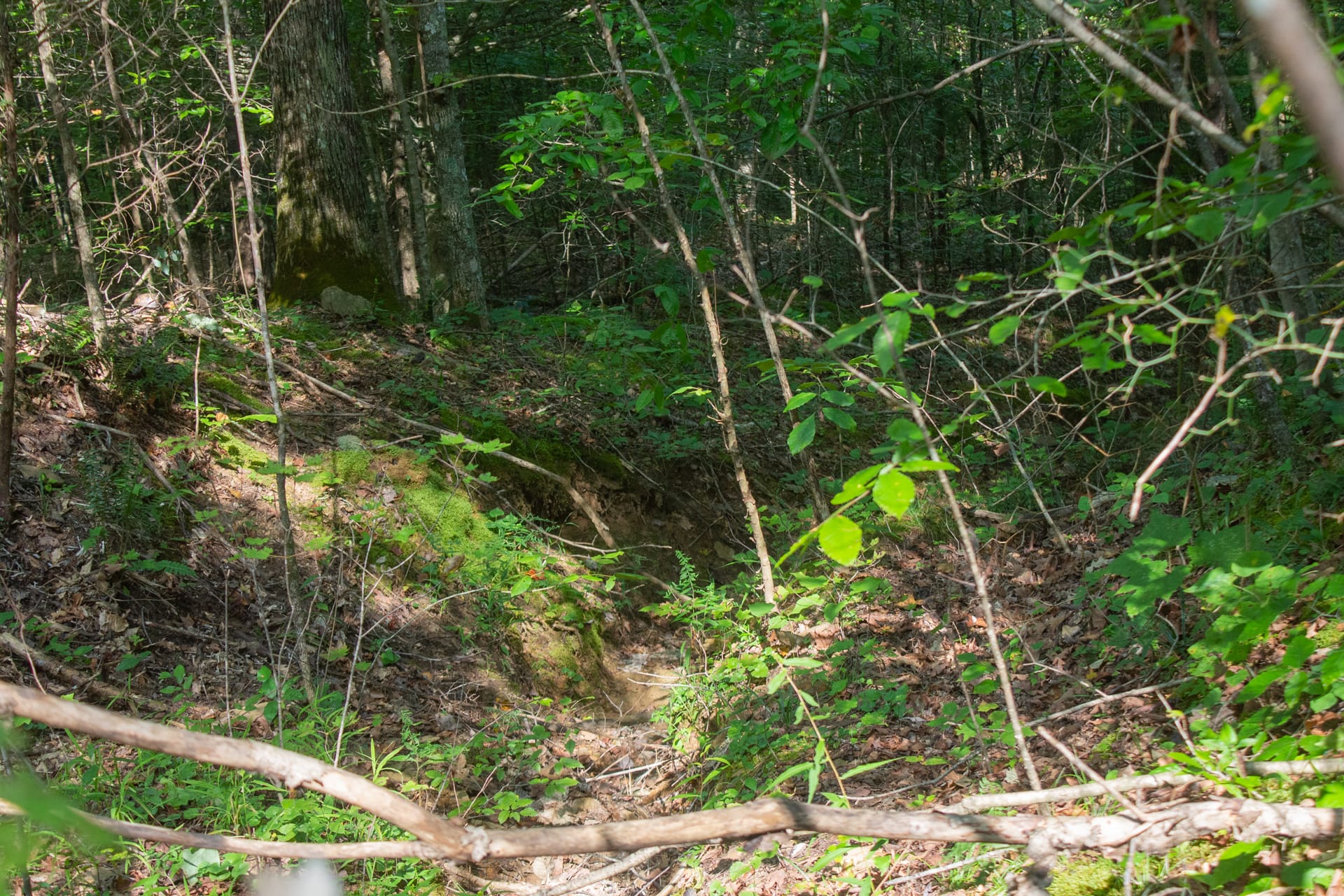 Bluegrass Ridge Tract 6 photo 2