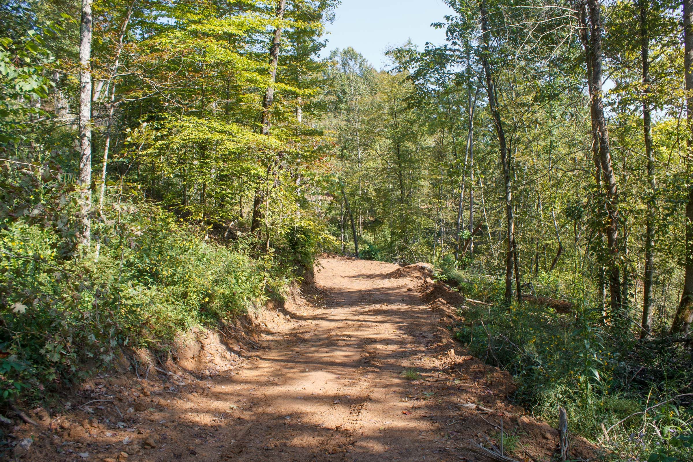 Wounded Oak Tract 10 photo 1