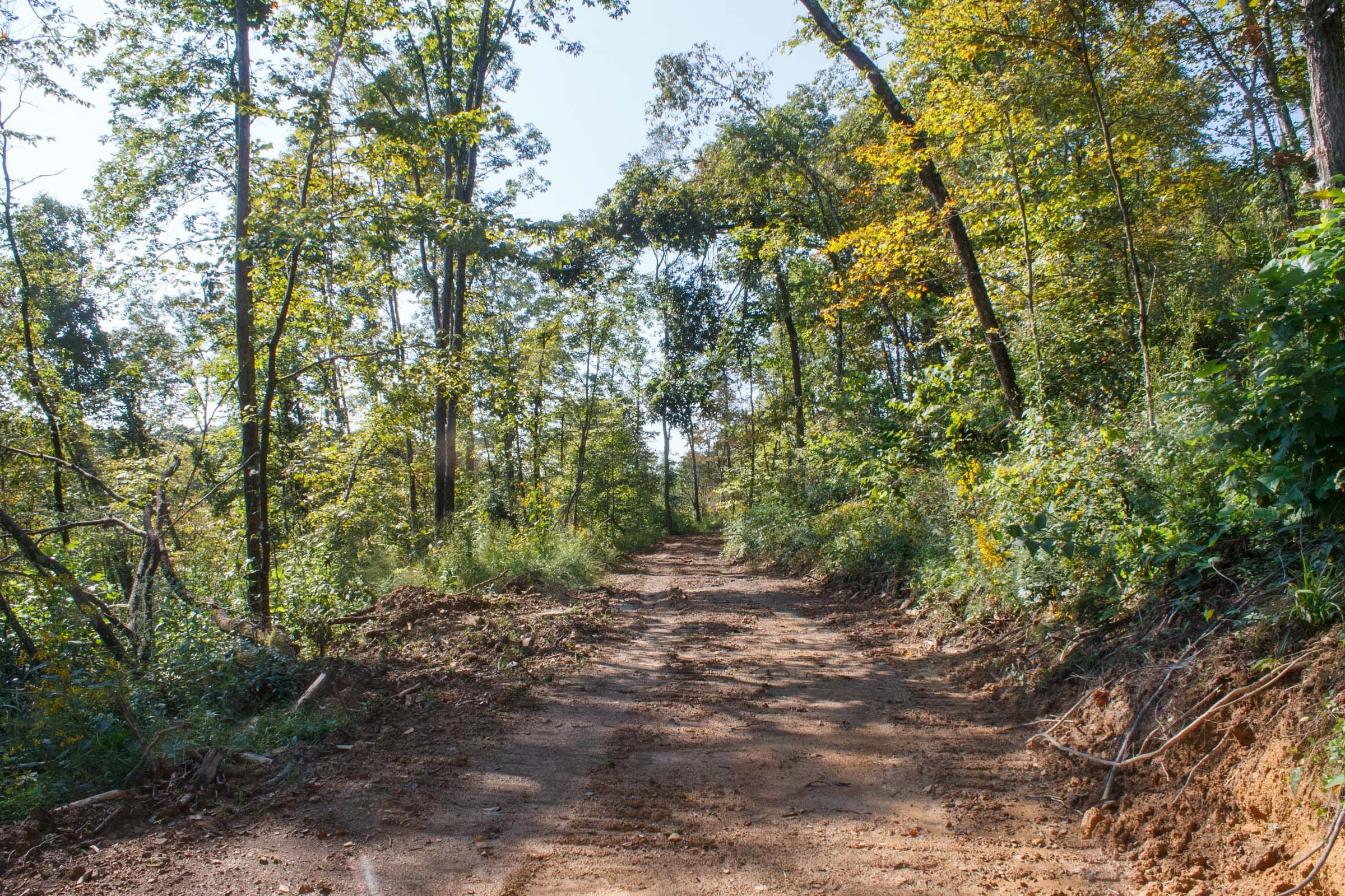 Wounded Oak Tract 10 photo 2