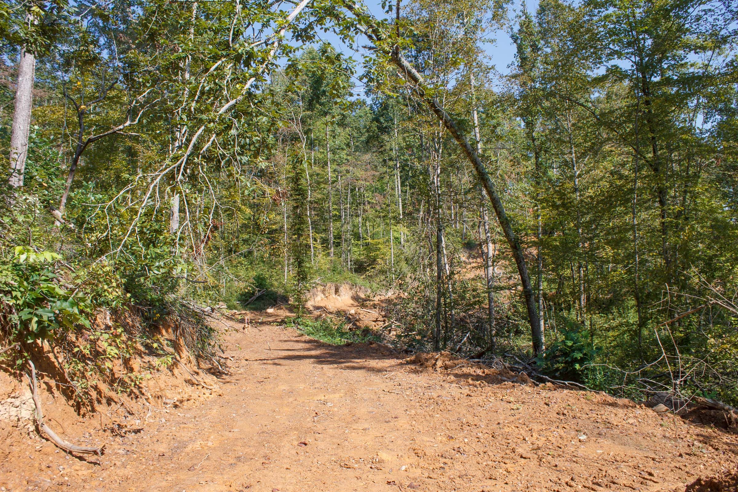 Wounded Oak Tract 10 photo 9