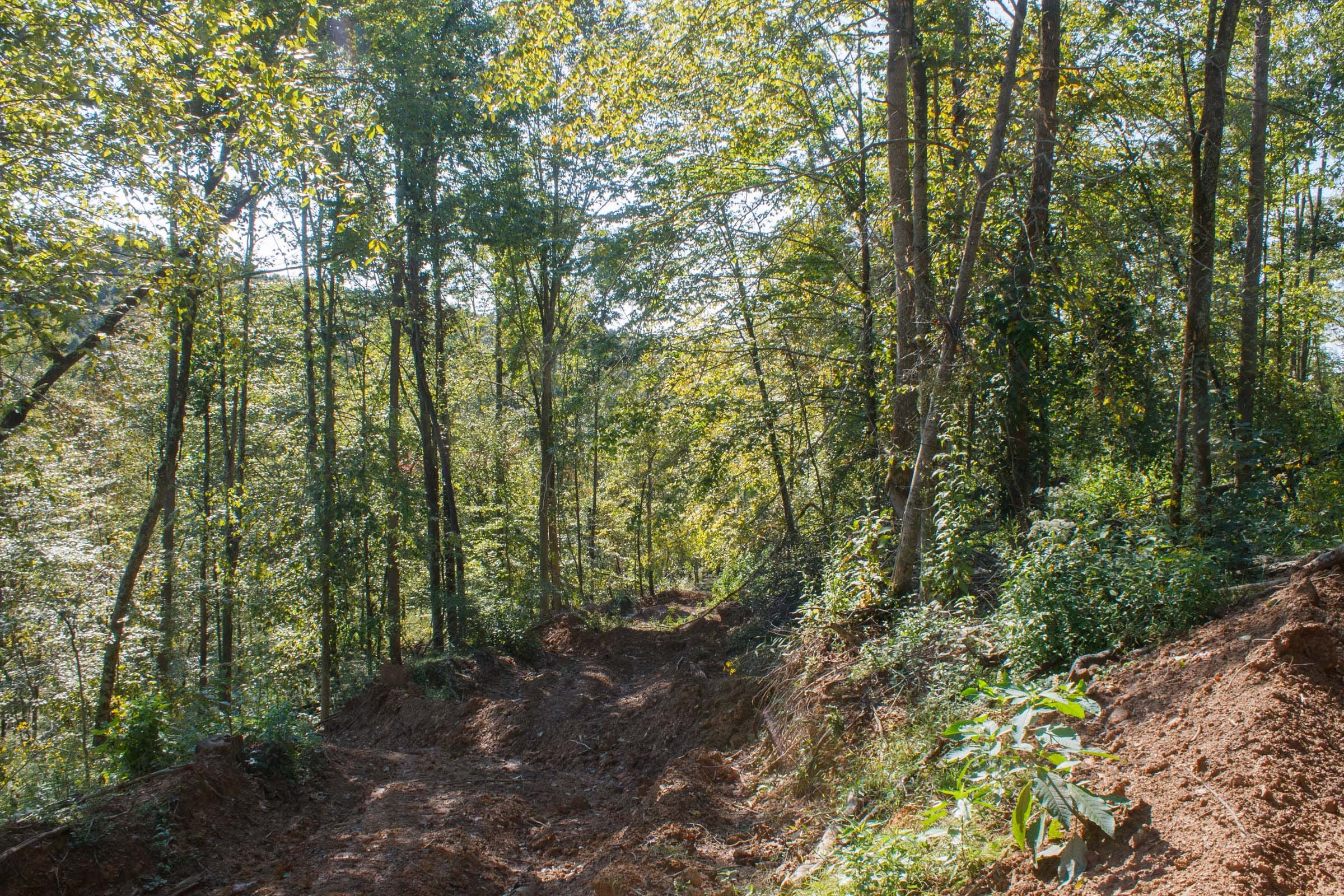 Wounded Oak Tract 10 photo 11