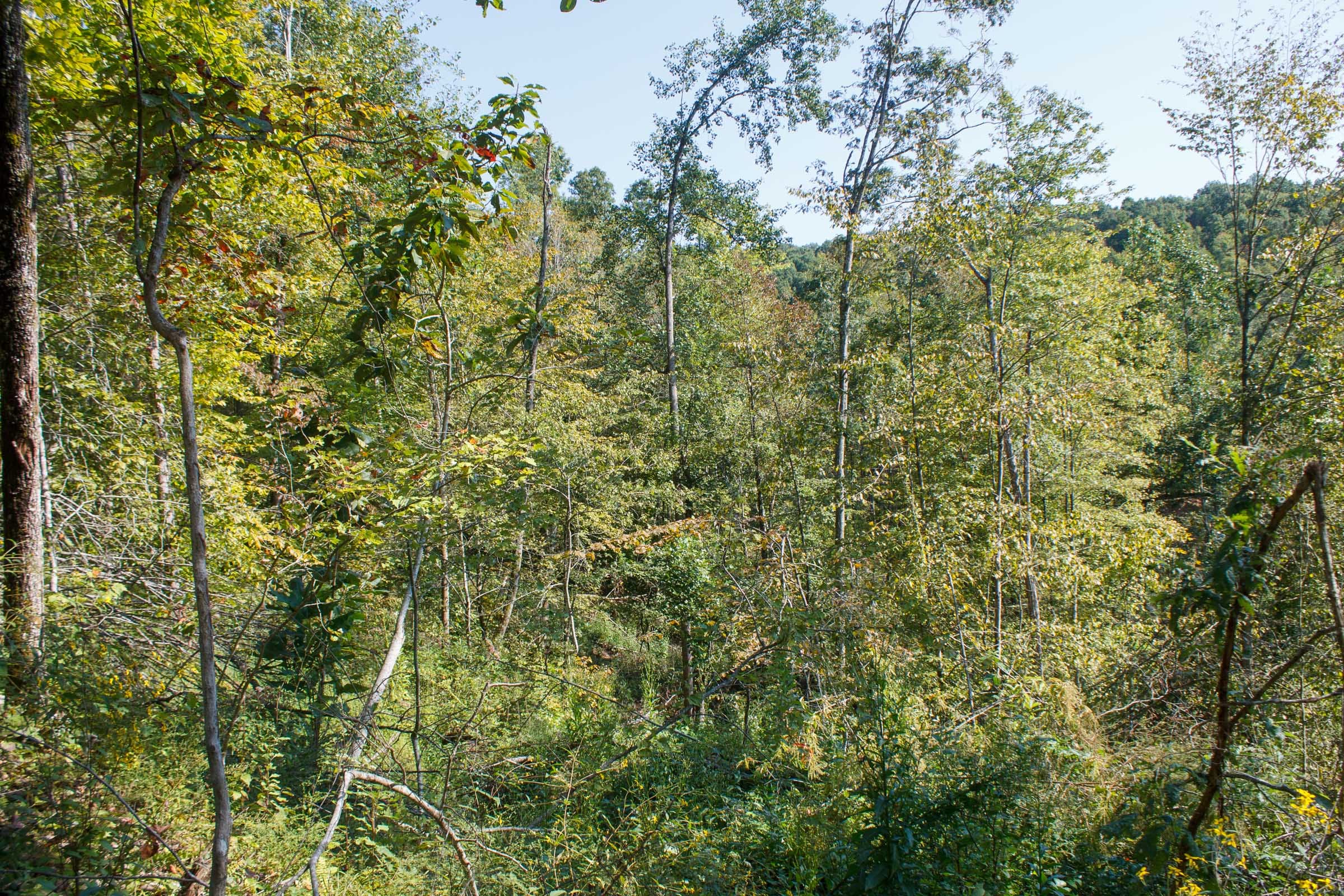 Wounded Oak Tract 10 photo 12