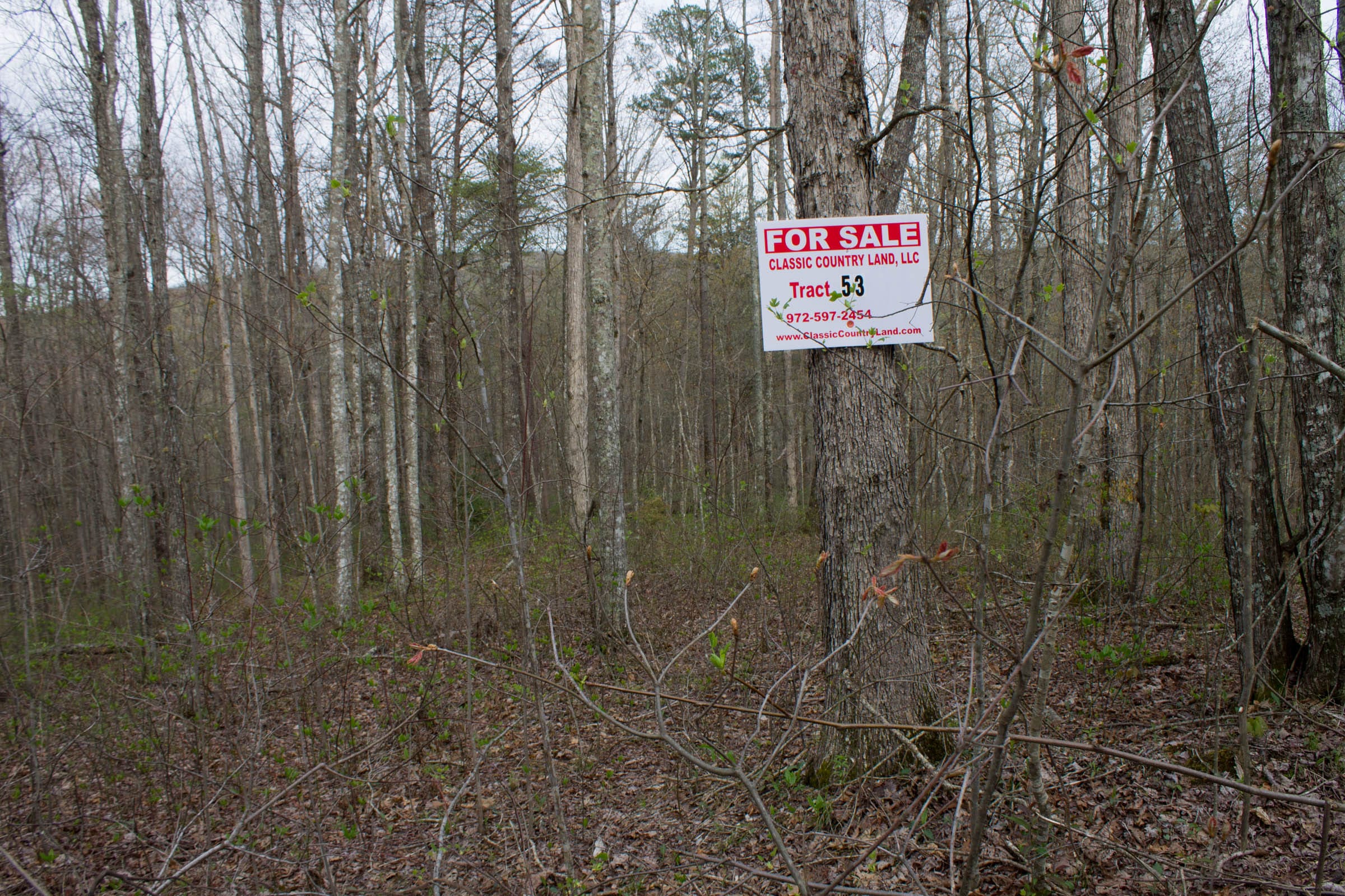Hidden Hills Tract 53 photo 1