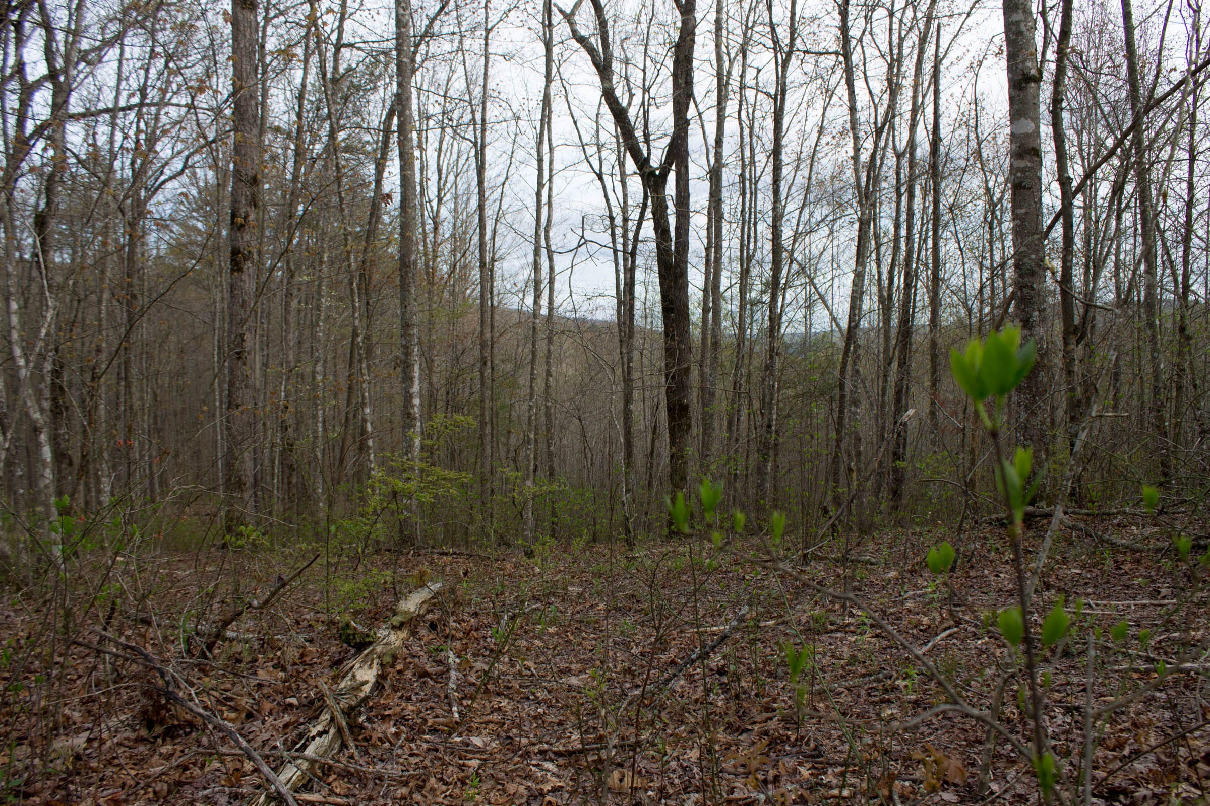 Hidden Hills Tract 53 photo 2