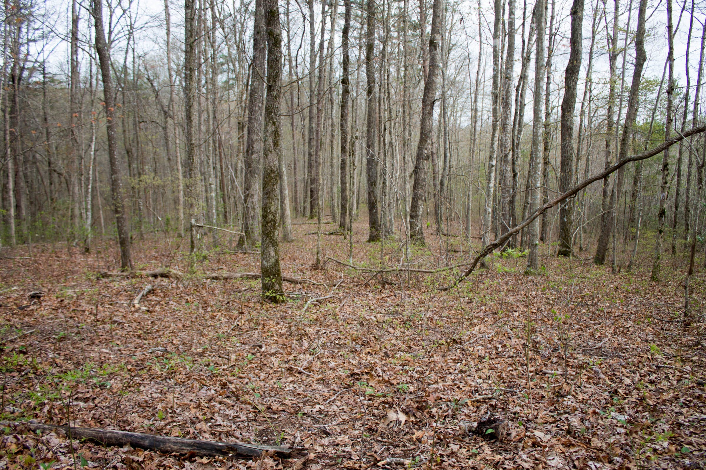 Hidden Hills Tract 53 photo 3