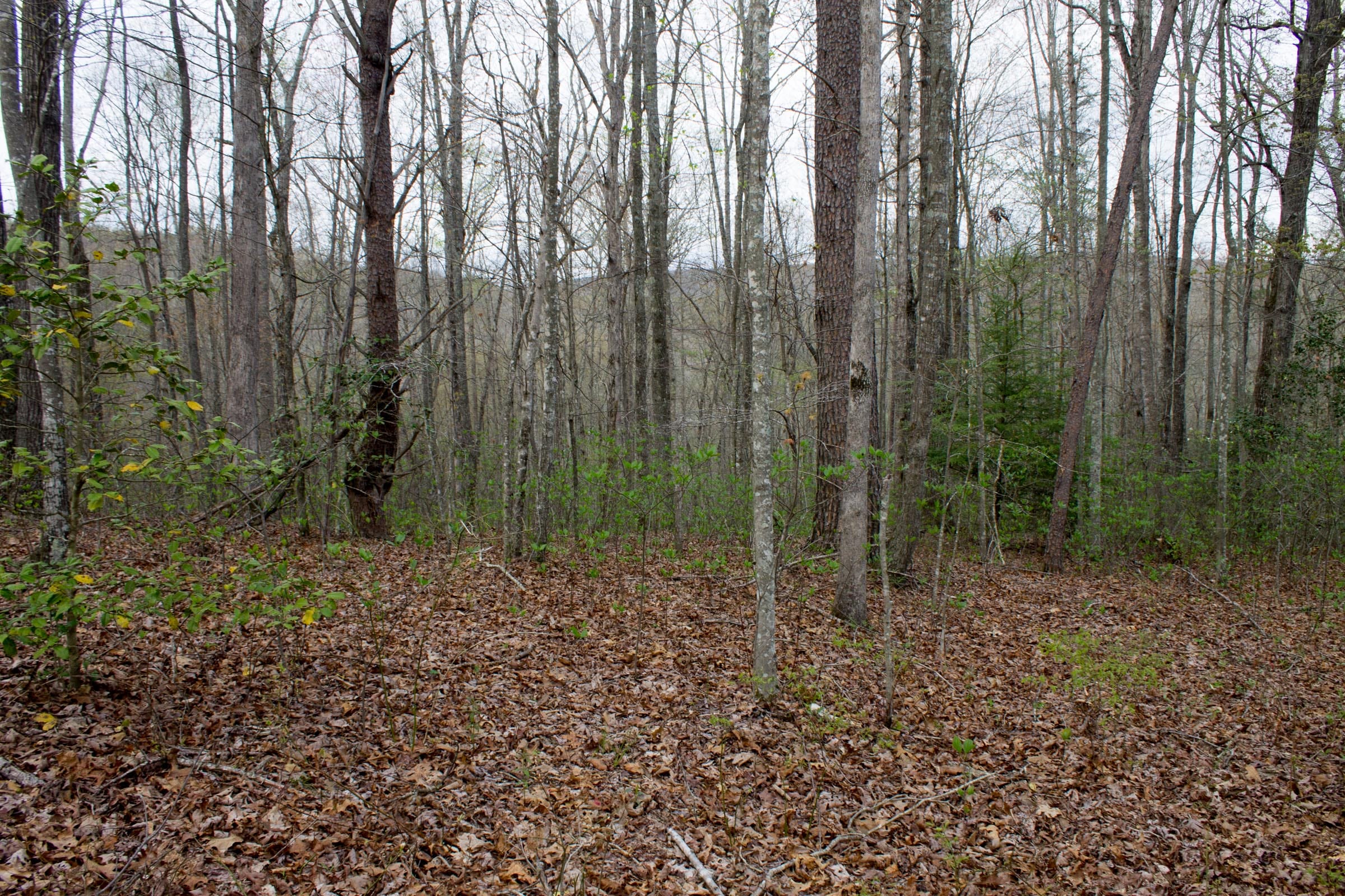 Hidden Hills Tract 53 photo 9