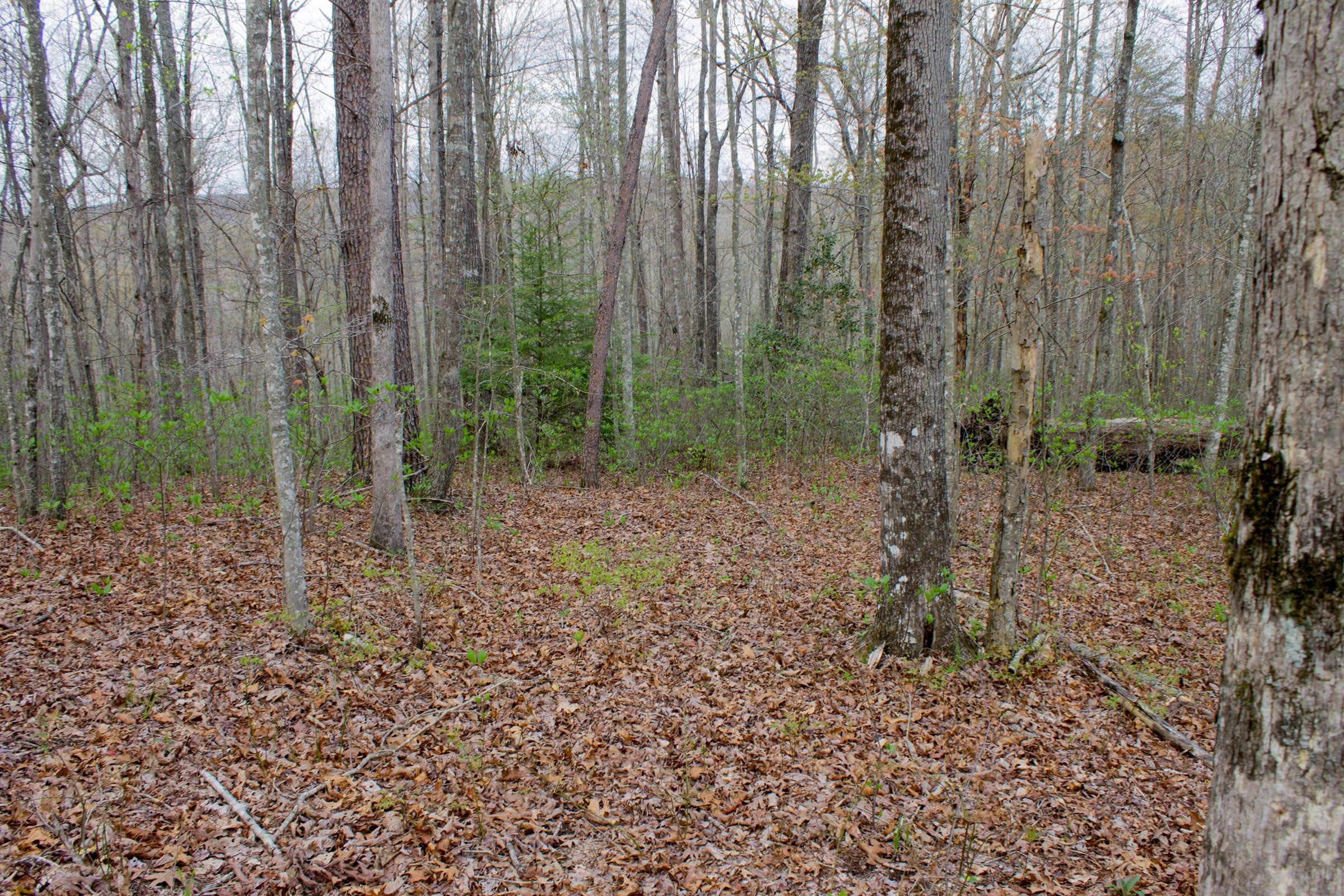 Hidden Hills Tract 53 photo 10