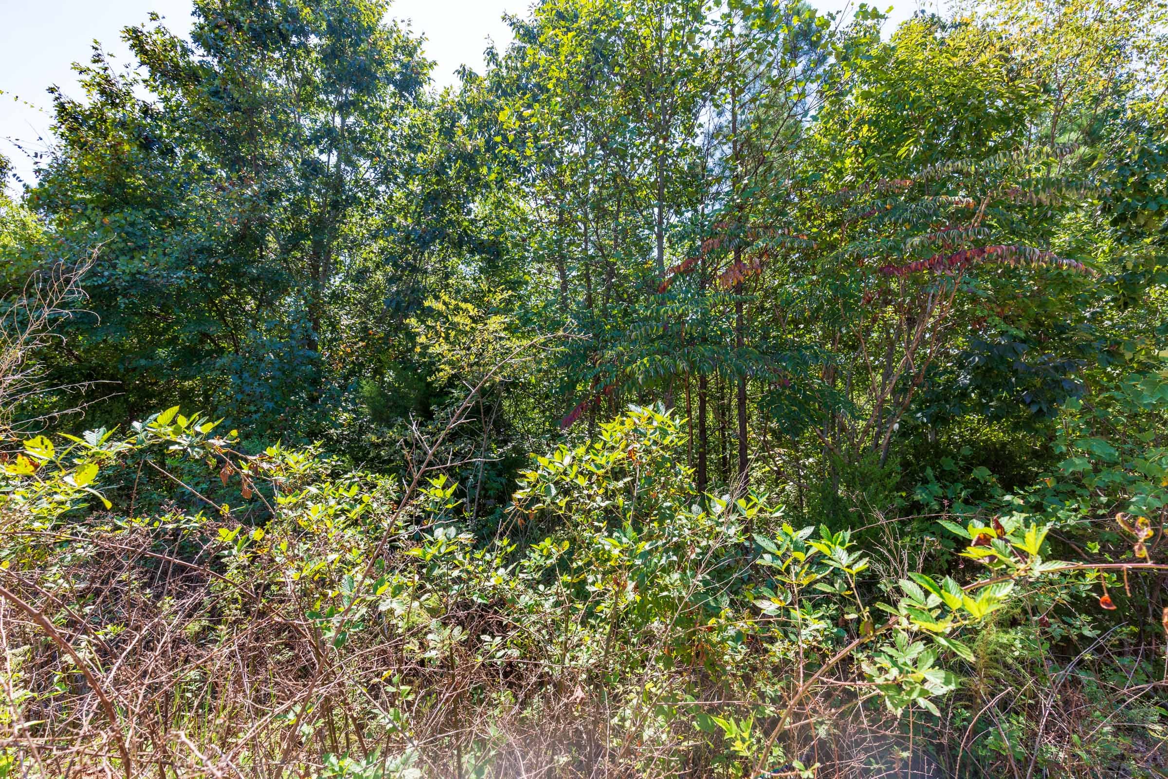 Redemption Ridge Tract 27 photo 9