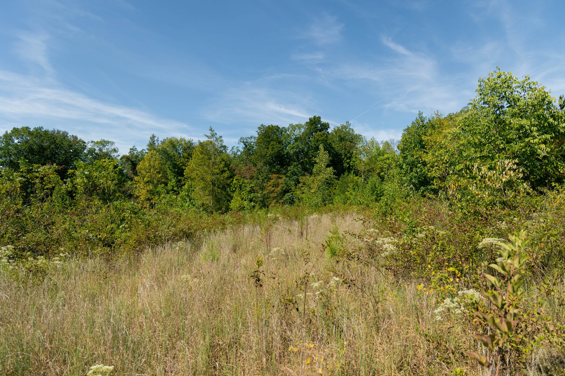 Big White Oak Tract 51 photo 7
