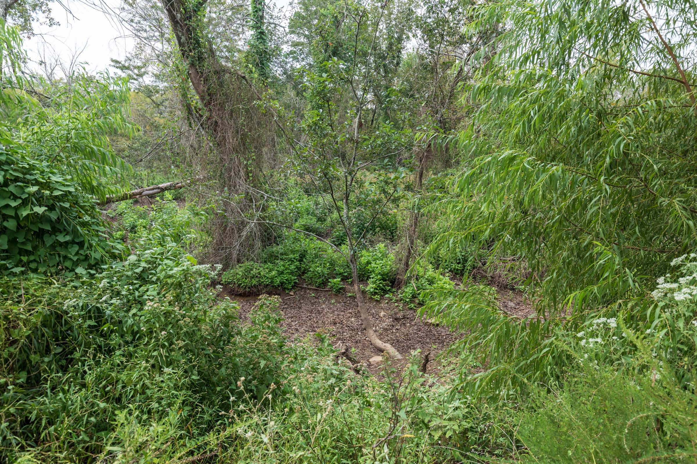 Stone Bridge Phase V Tract 334 photo 12