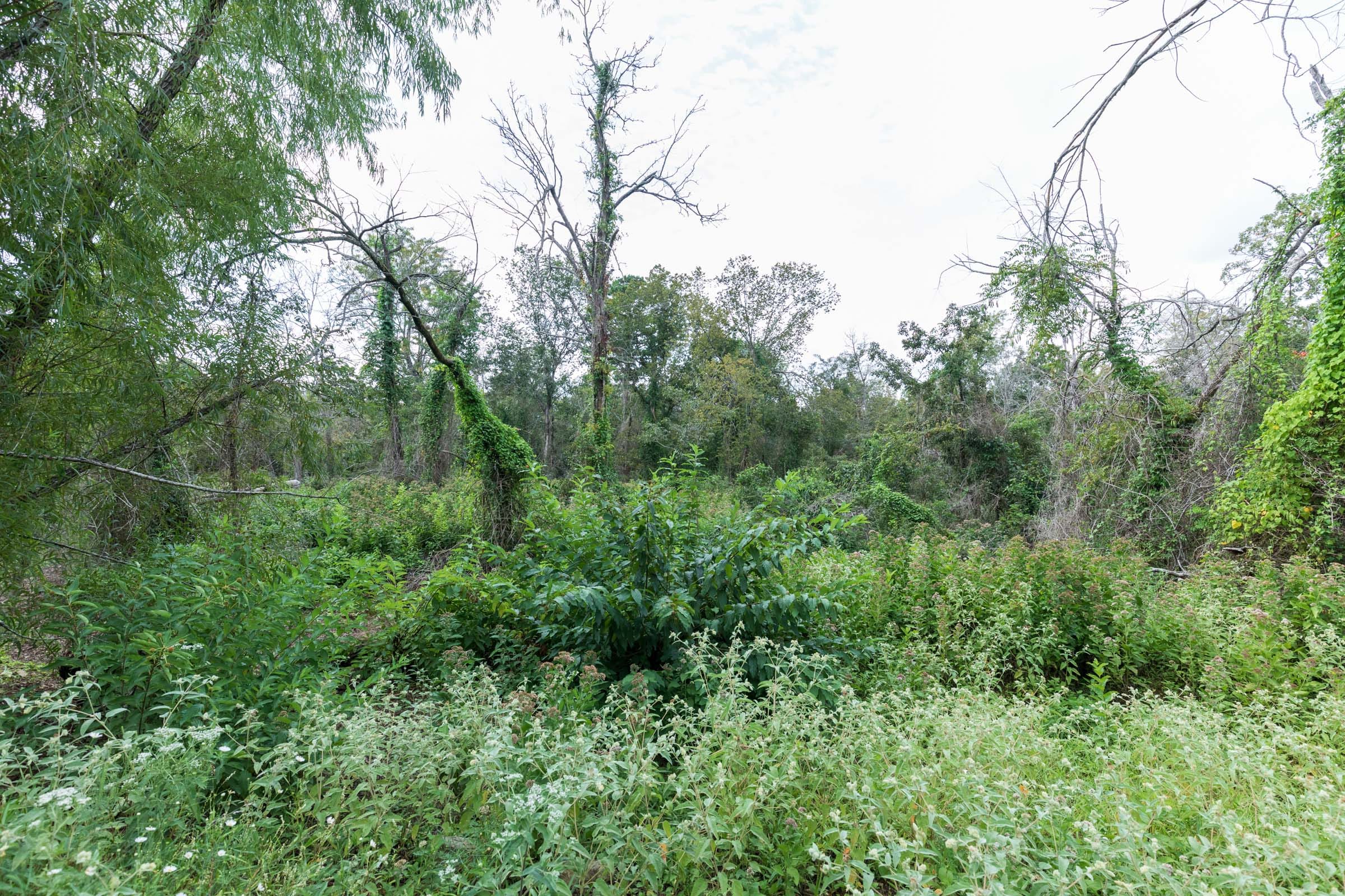 Stone Bridge Phase V Tract 334 photo 14