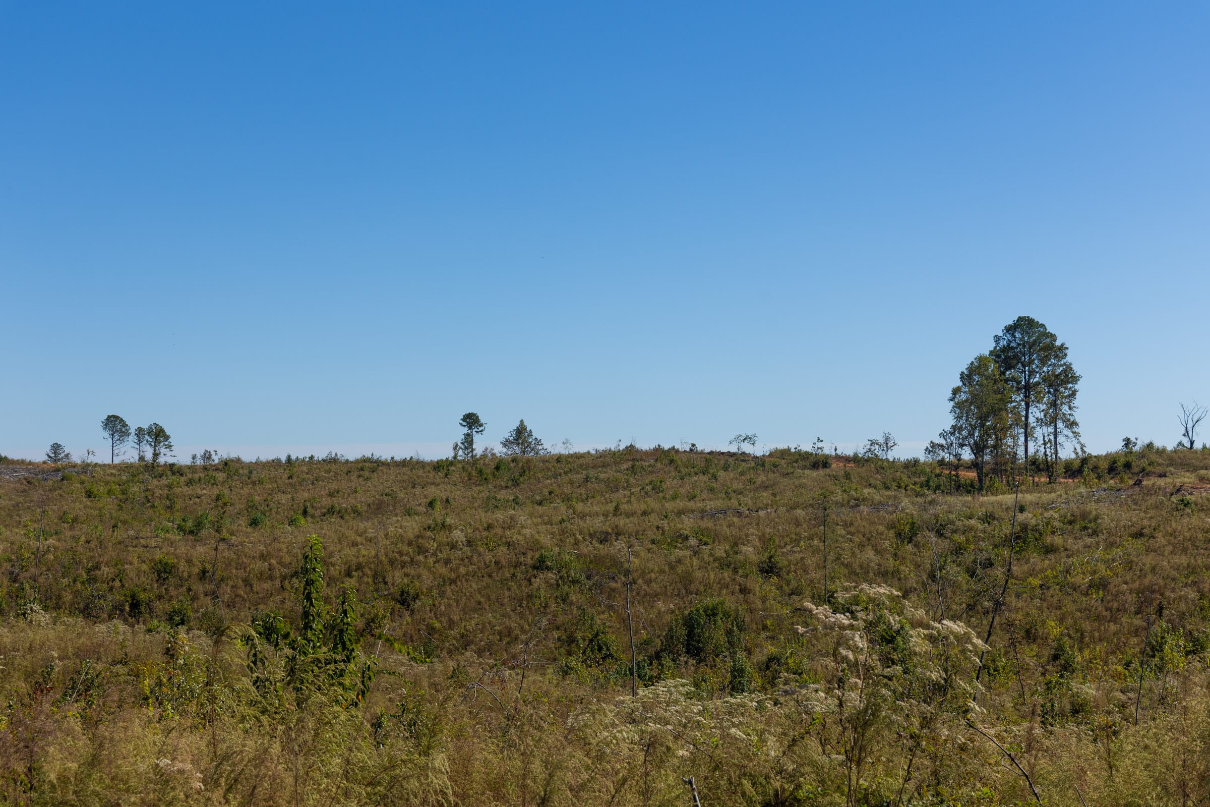 Meyer’s Ridge Tract 6 photo 15