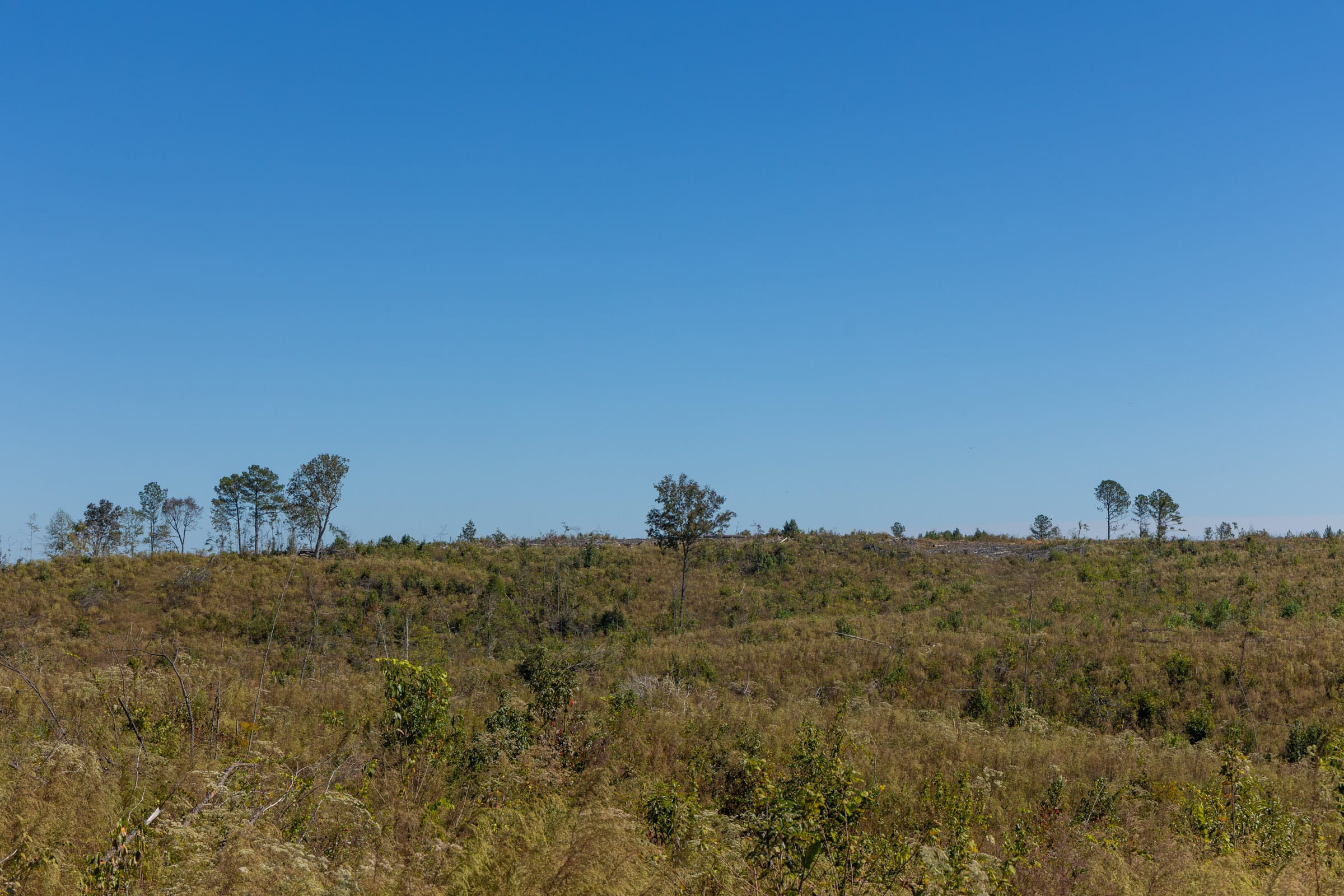 Meyer’s Ridge Tract 6 photo 13