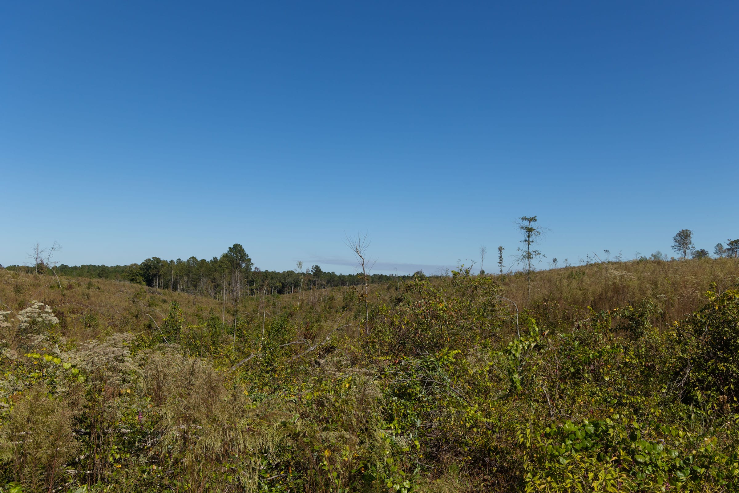Meyer’s Ridge Tract 6 photo 12