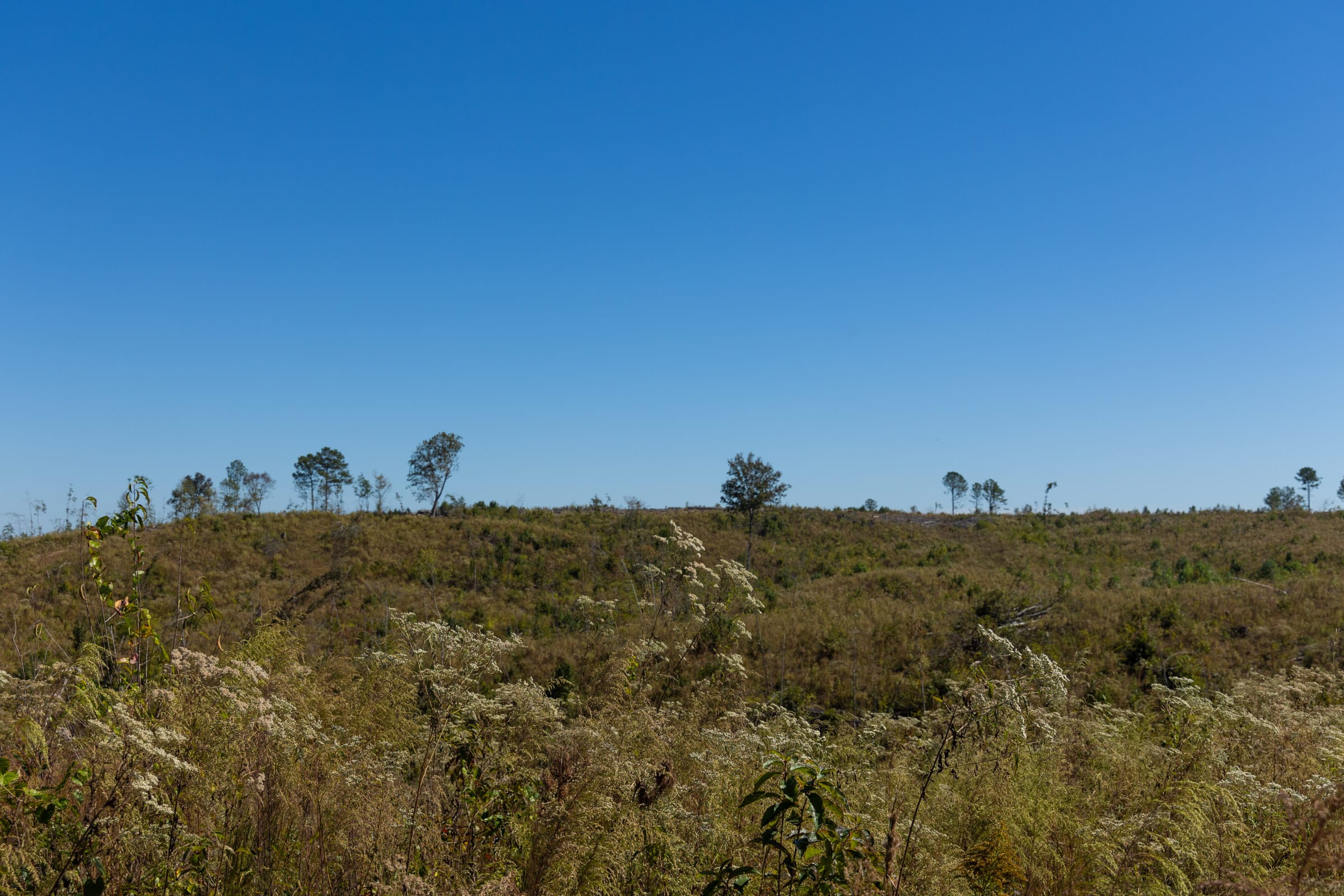 Meyer’s Ridge Tract 6 photo 10