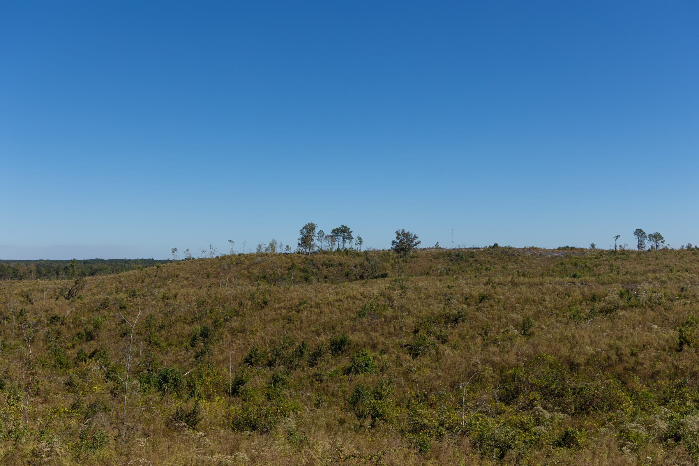 Meyer’s Ridge Tract 6 photo 8