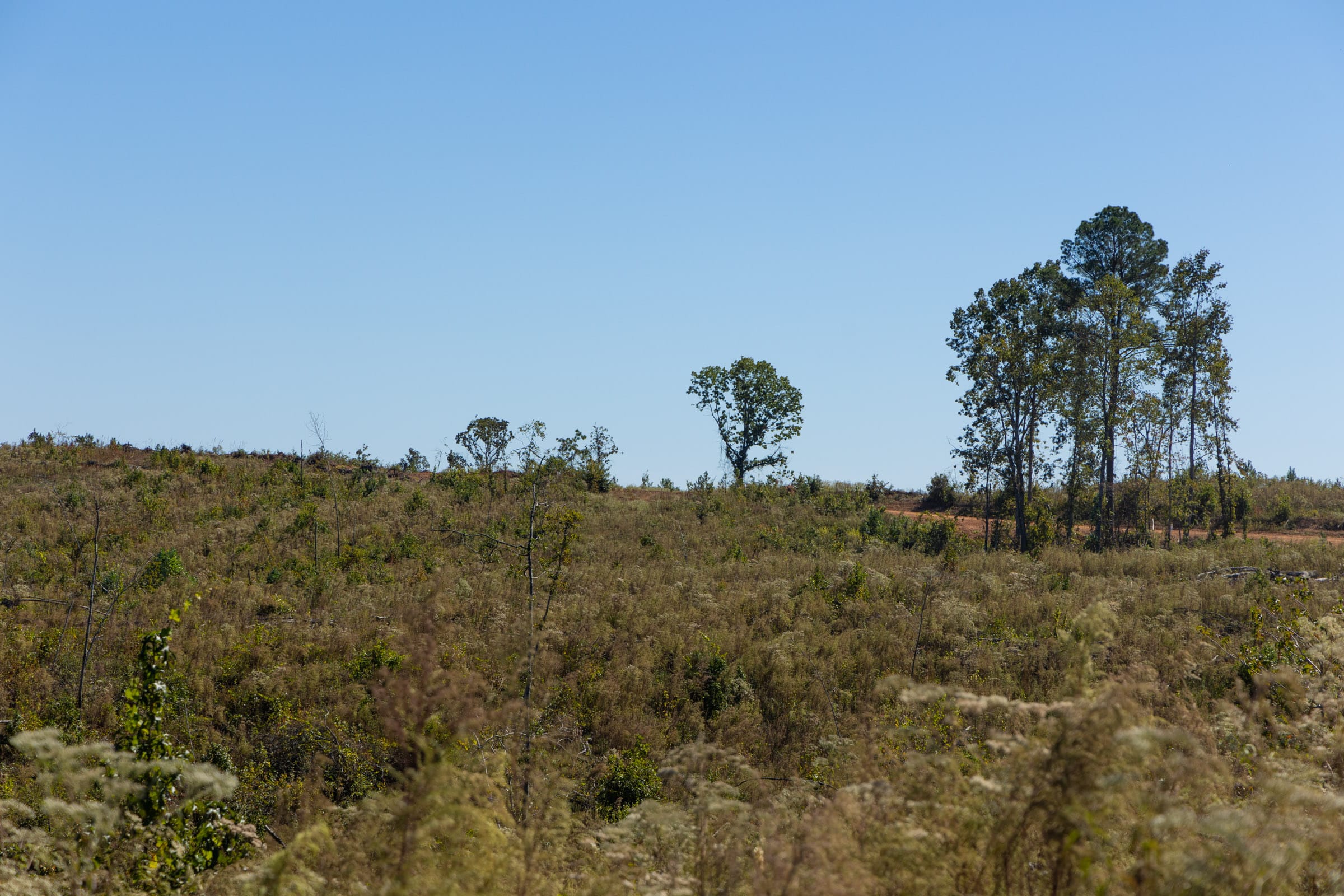 Meyer’s Ridge Tract 6 photo 7