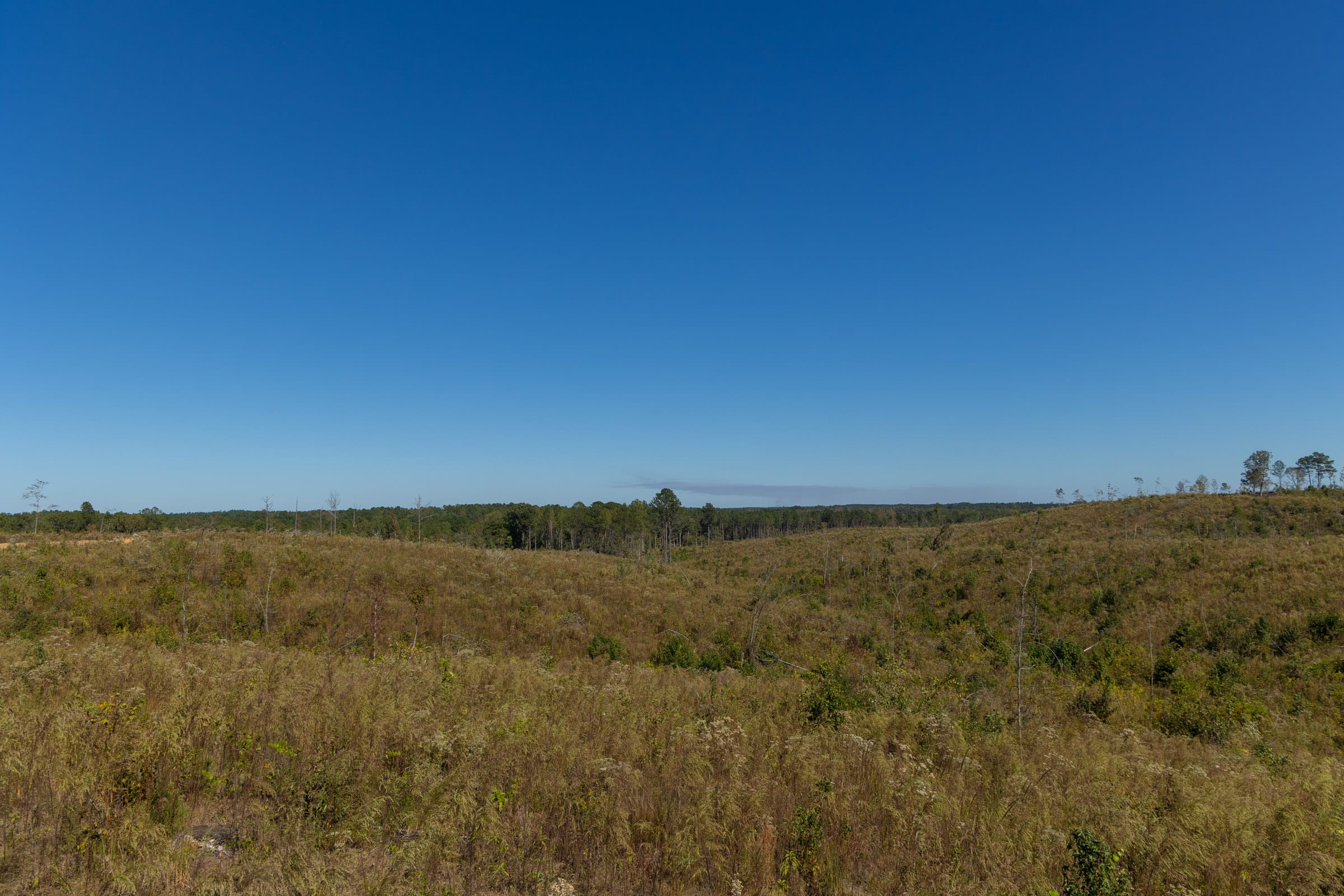 Meyer’s Ridge Tract 6 photo 4