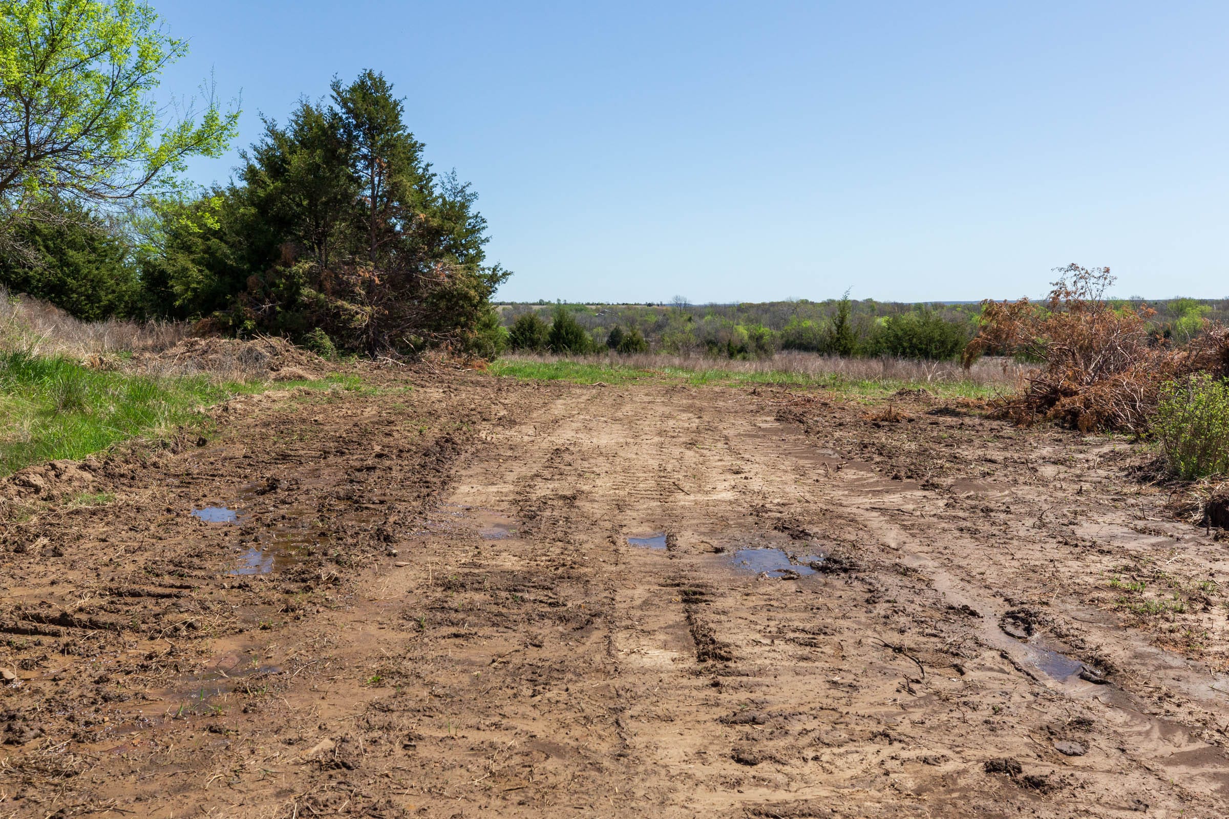 Prairie Grove Tract 18 photo 5