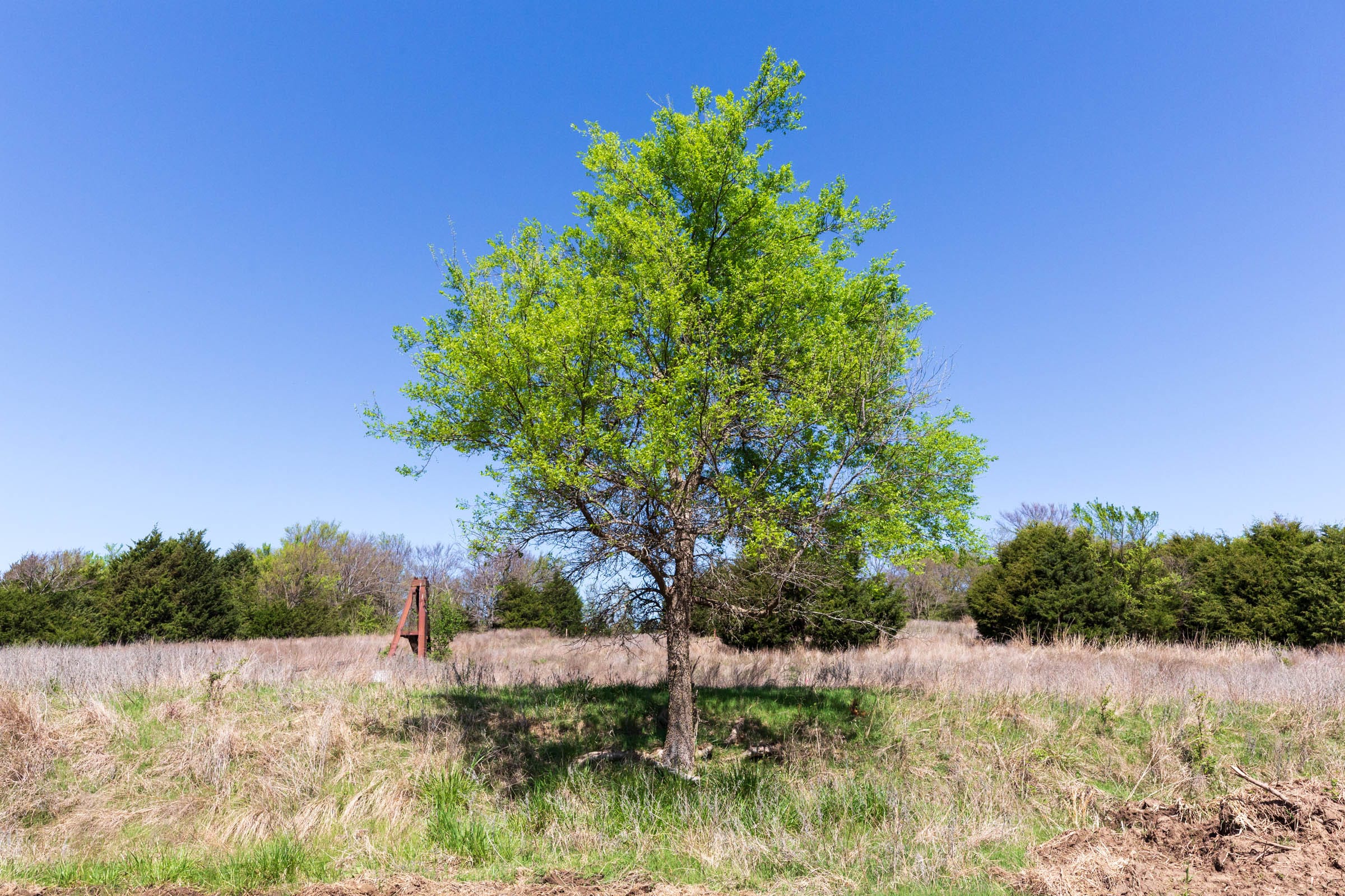 Prairie Grove Tract 18 photo 7