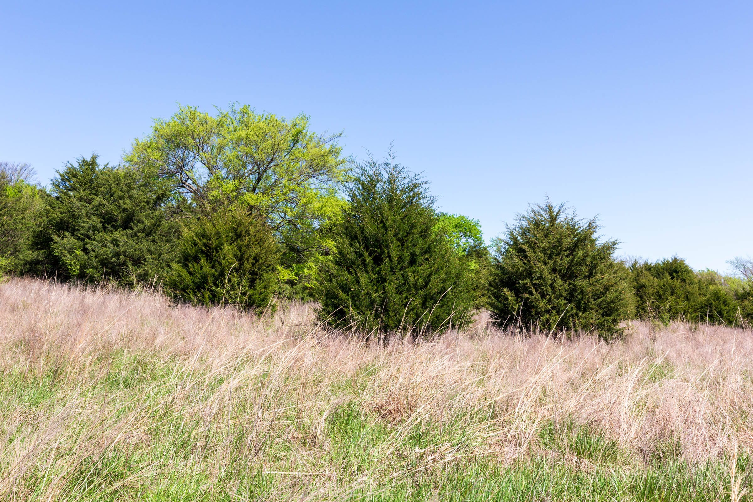 Prairie Grove Tract 18 photo 10