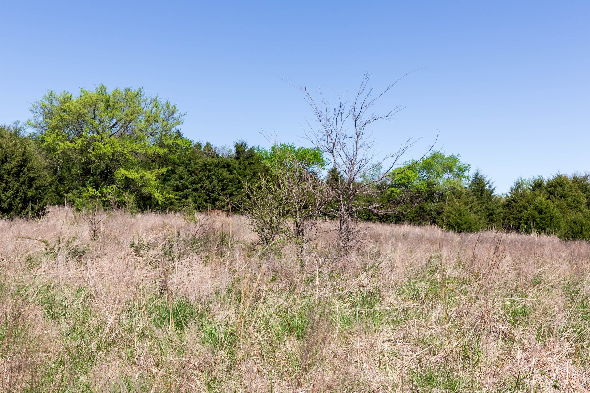 Prairie Grove Tract 18 photo 13