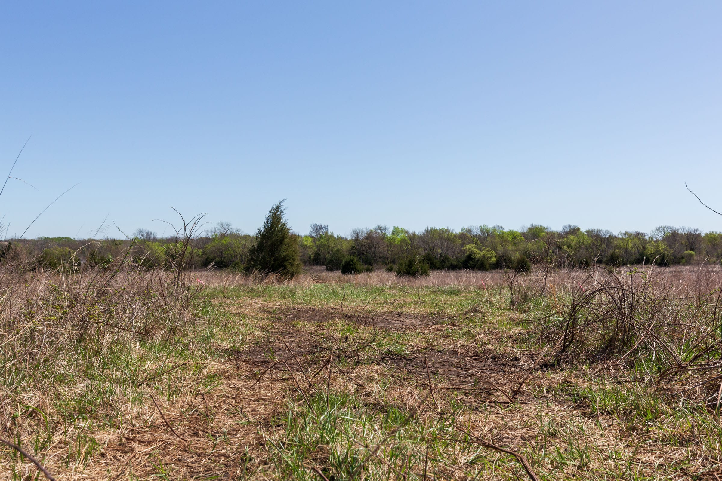 Prairie Grove Tract 18 photo 11