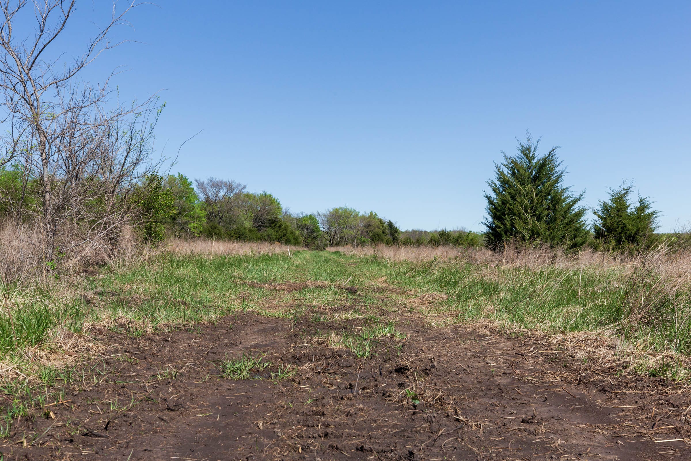 Prairie Grove Tract 18 photo 17