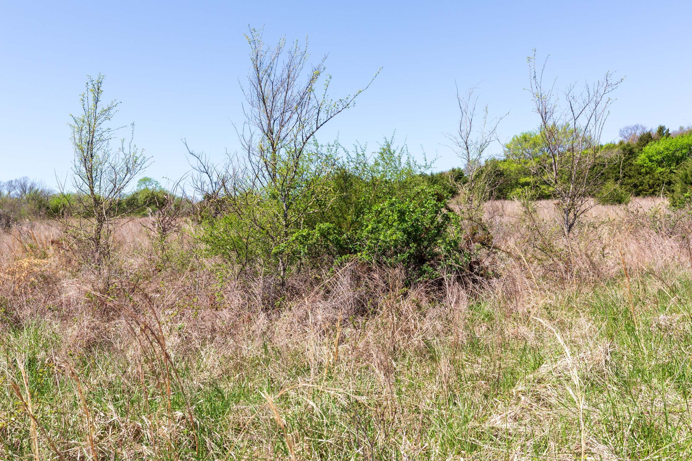 Prairie Grove Tract 18 photo 14