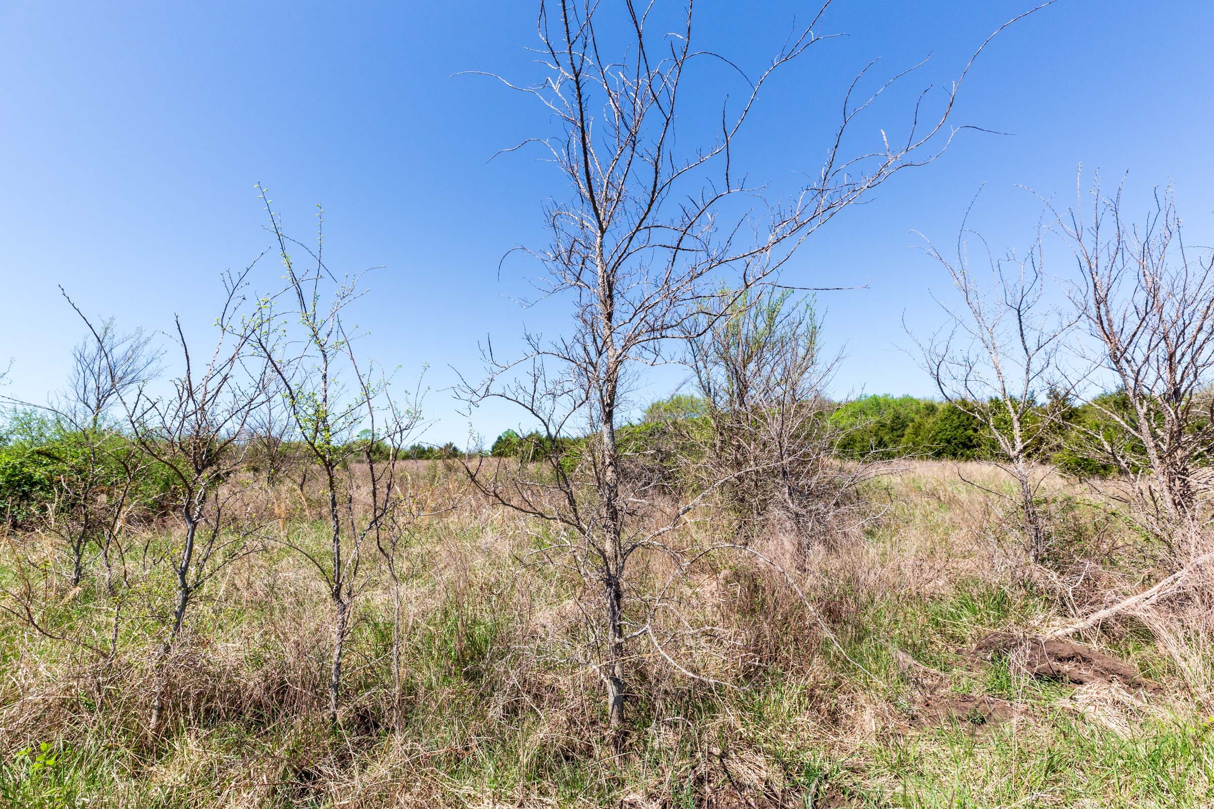Prairie Grove Tract 18 photo 15