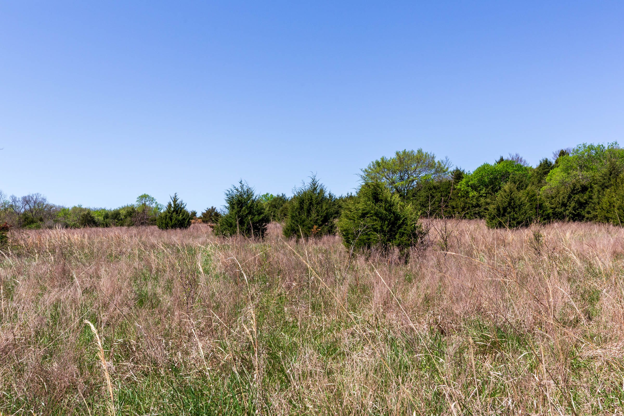 Prairie Grove Tract 18 photo 16