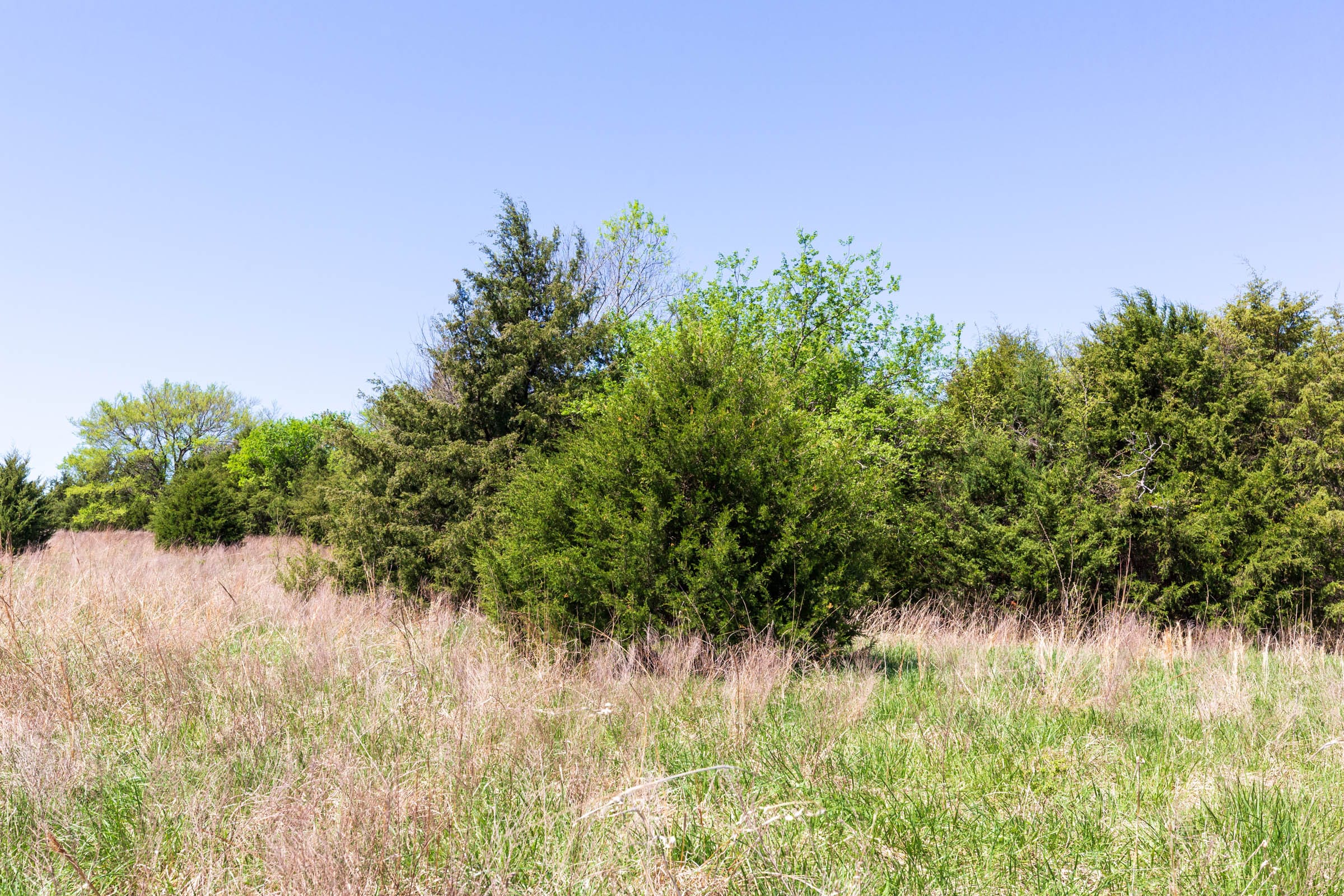 Prairie Grove Tract 18 photo 19