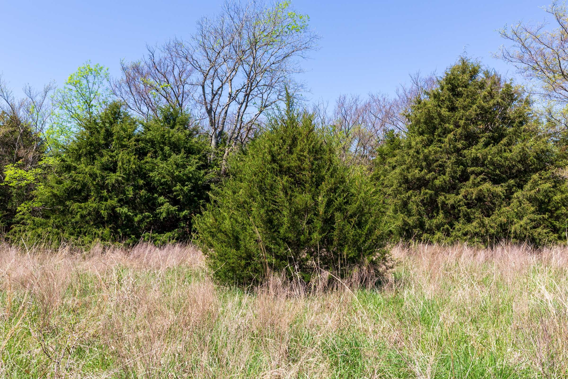 Prairie Grove Tract 18 photo 20