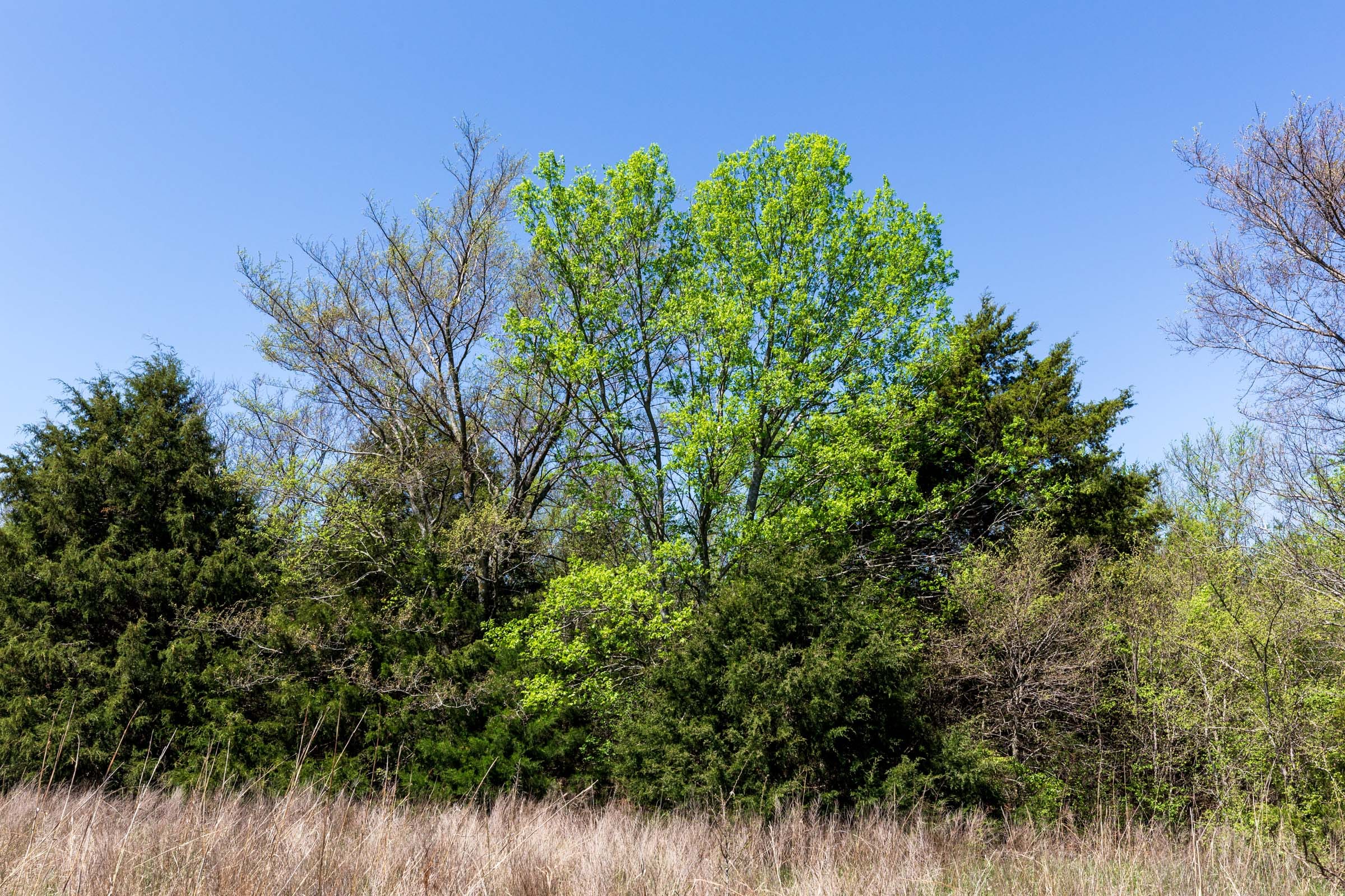 Prairie Grove Tract 18 photo 18