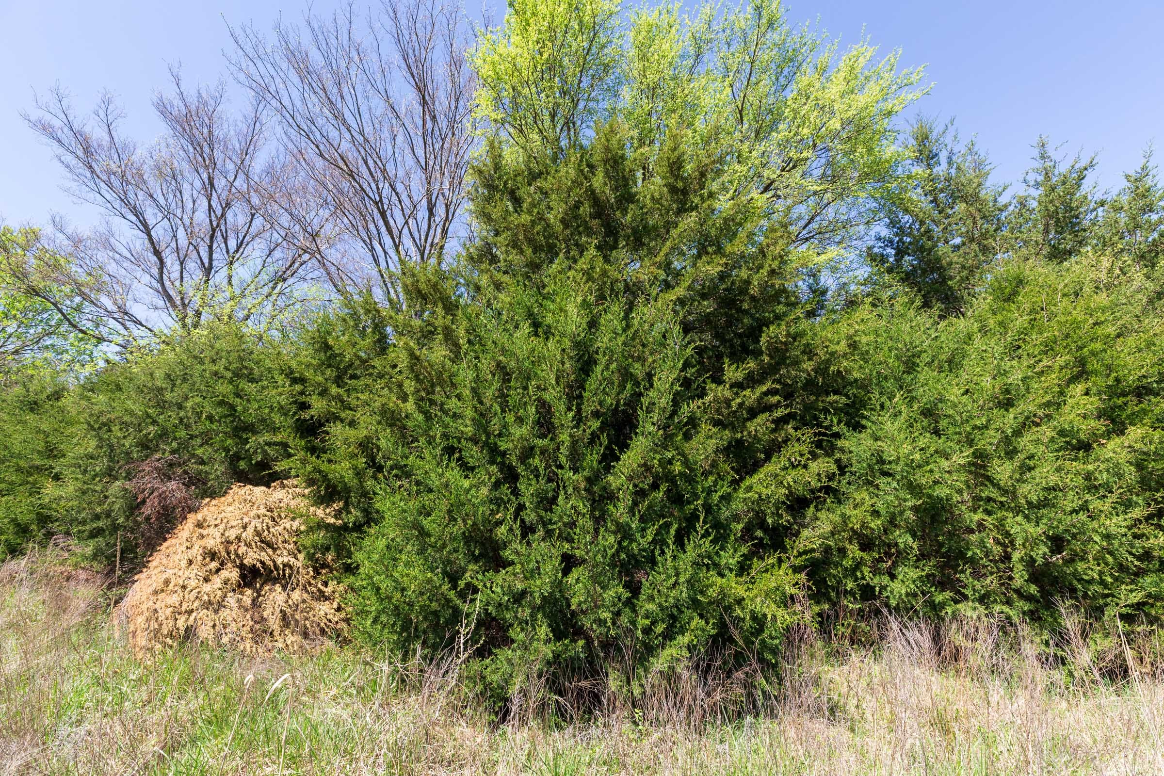 Prairie Grove Tract 18 photo 21