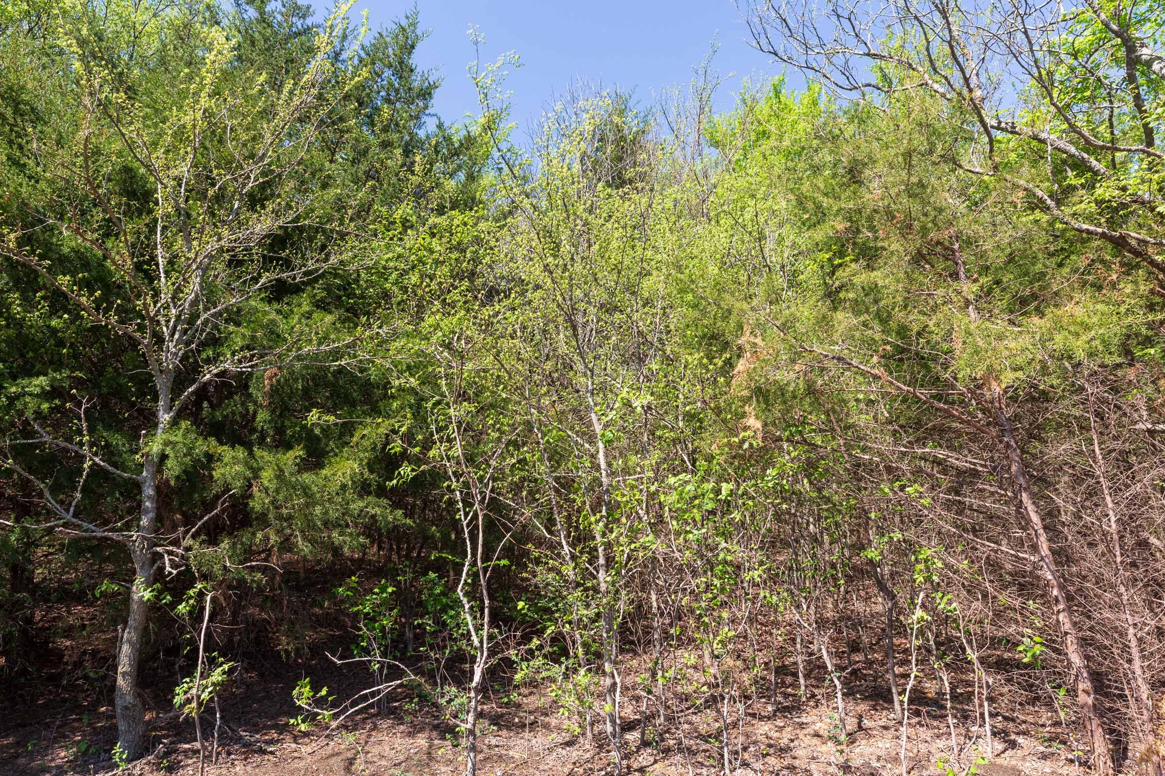 Prairie Grove Tract 18 photo 22