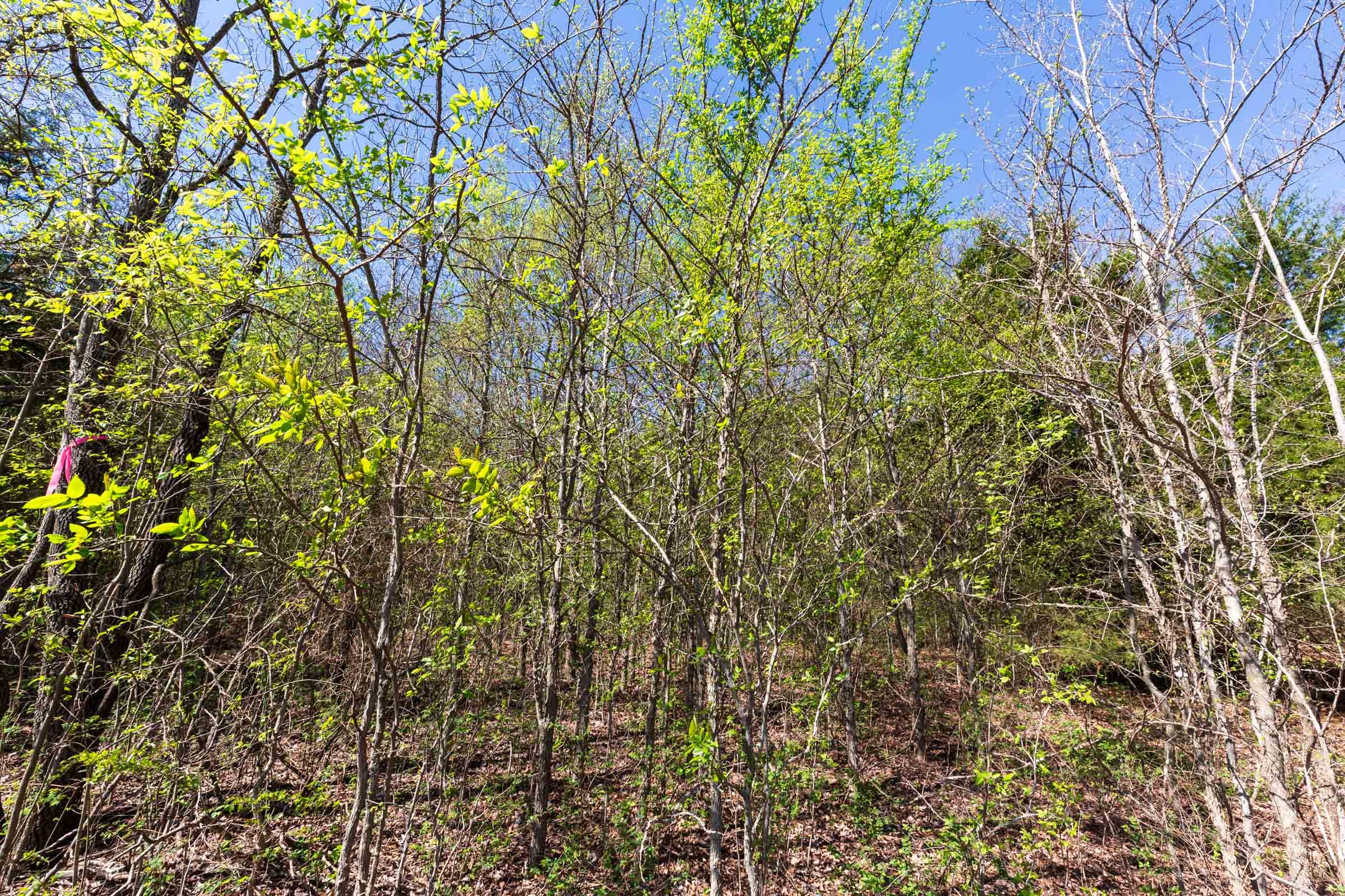 Prairie Grove Tract 18 photo 25
