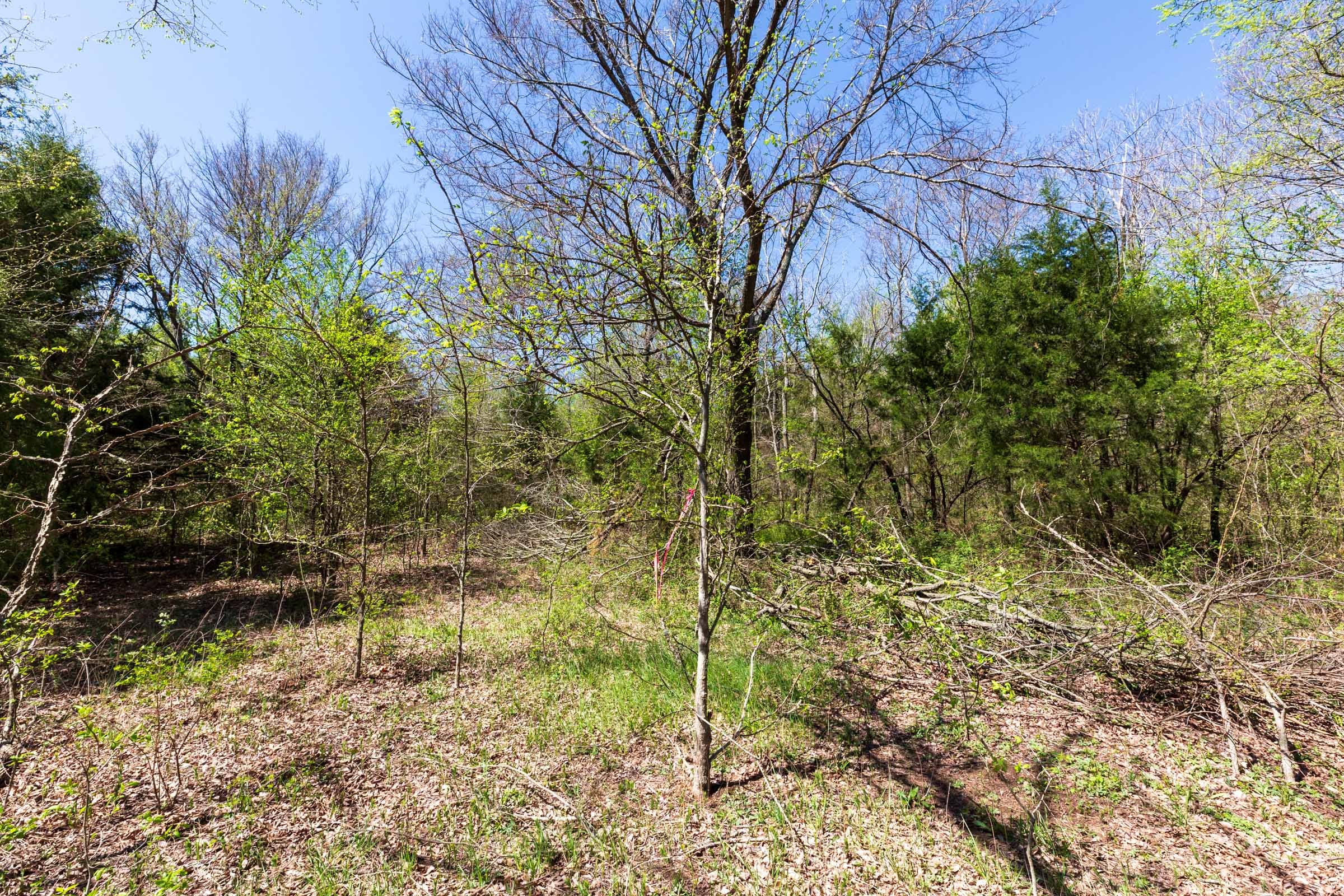 Prairie Grove Tract 18 photo 24