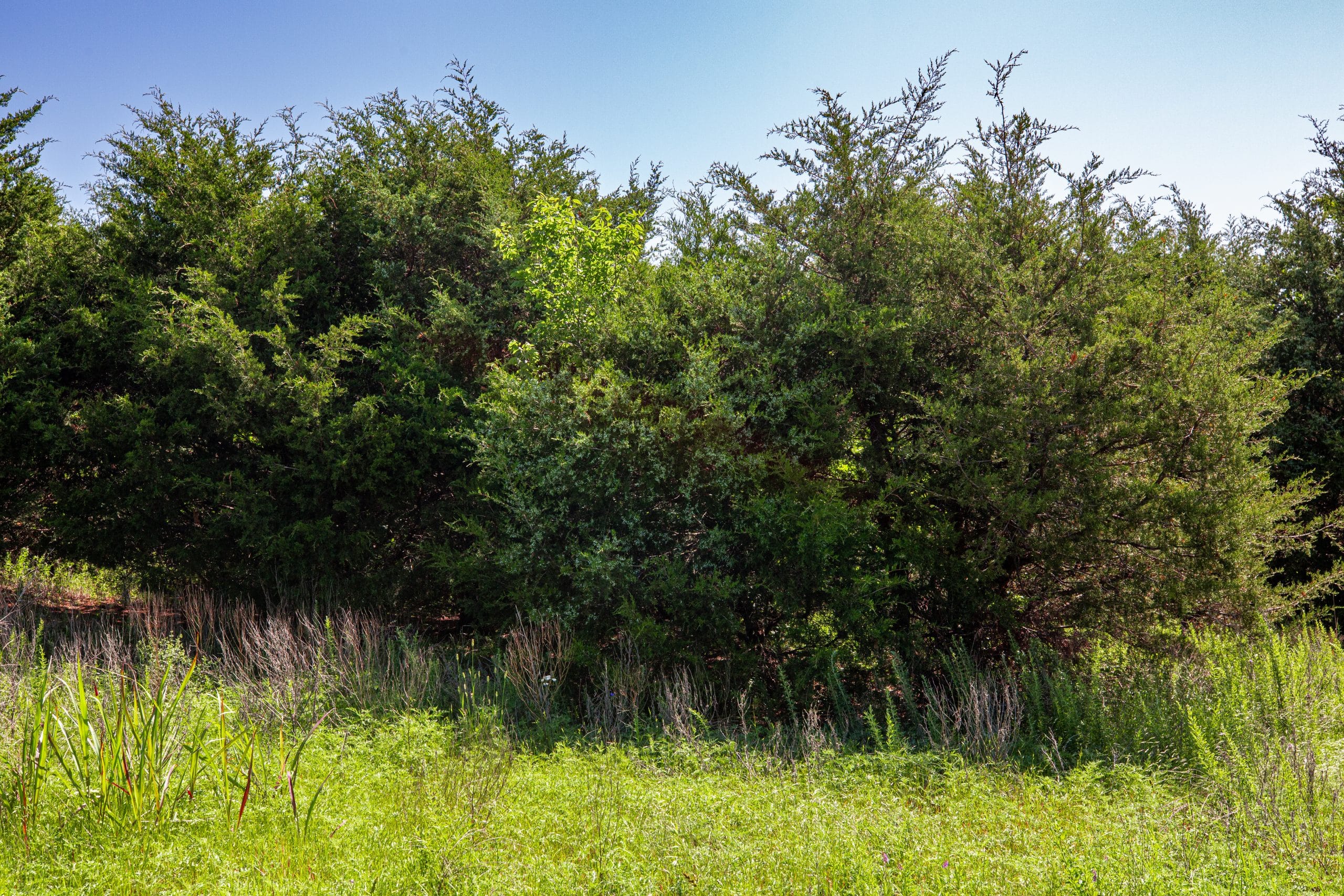 Prairie Grove Tract 18 photo 12
