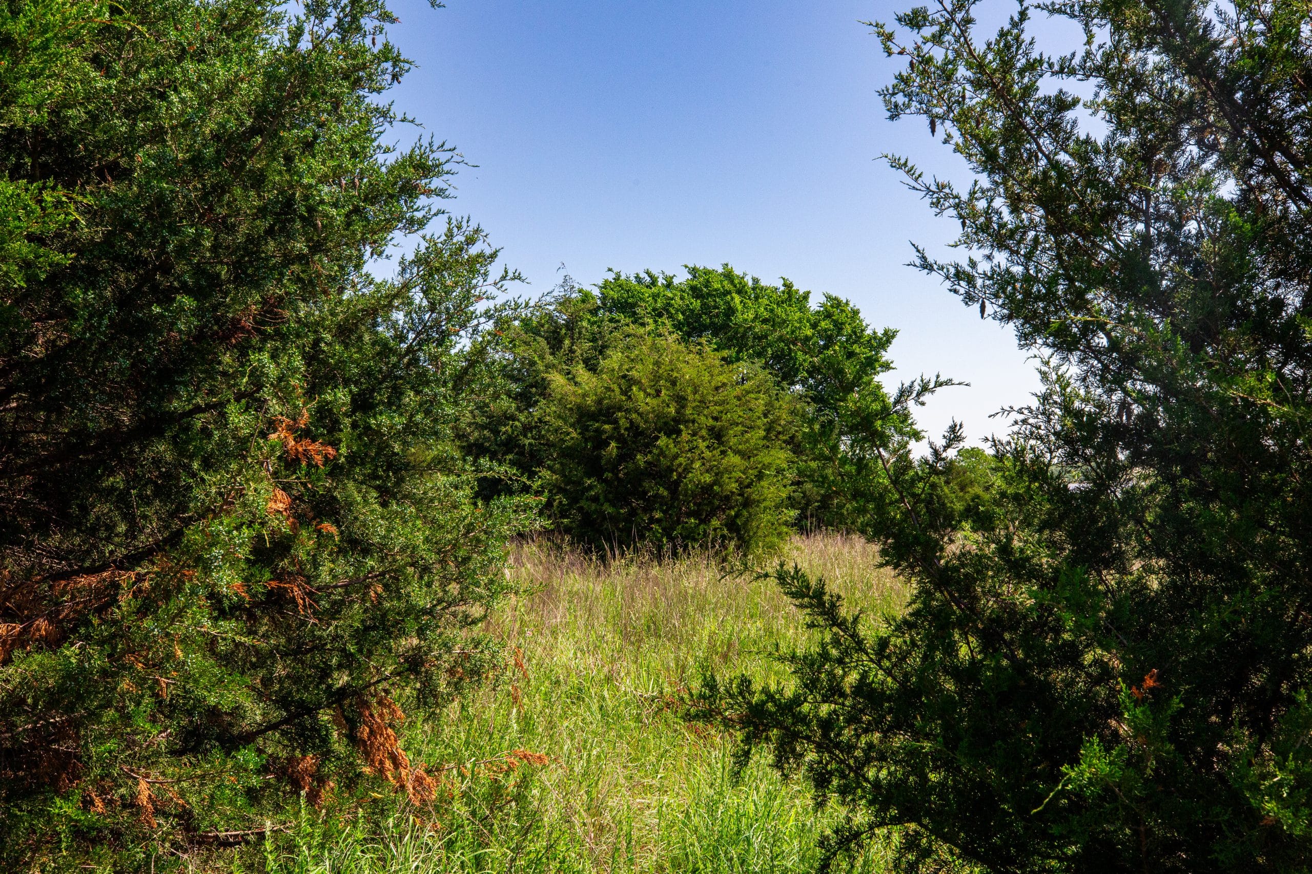 Prairie Grove Tract 18 photo 6