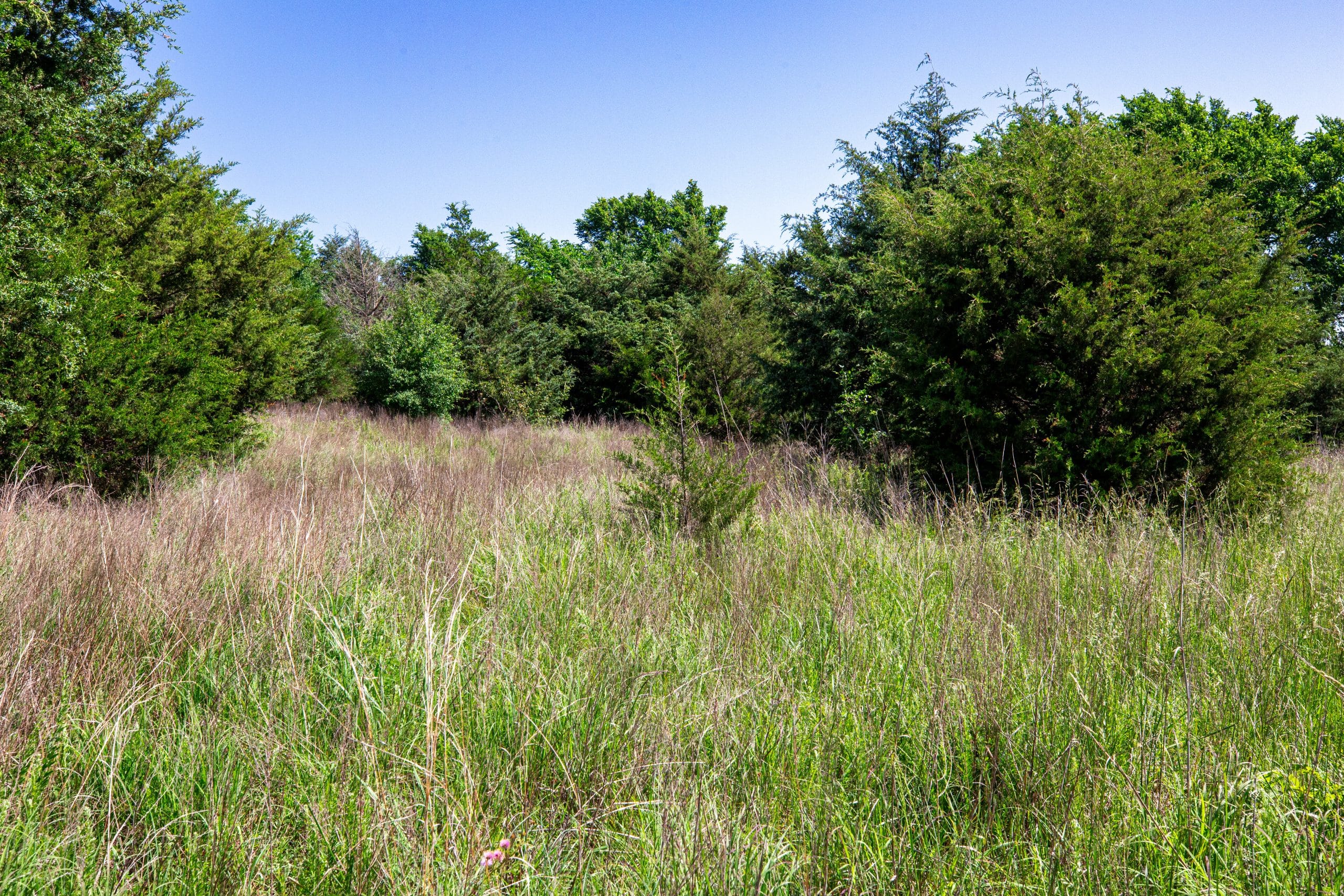 Prairie Grove Tract 18 photo 26