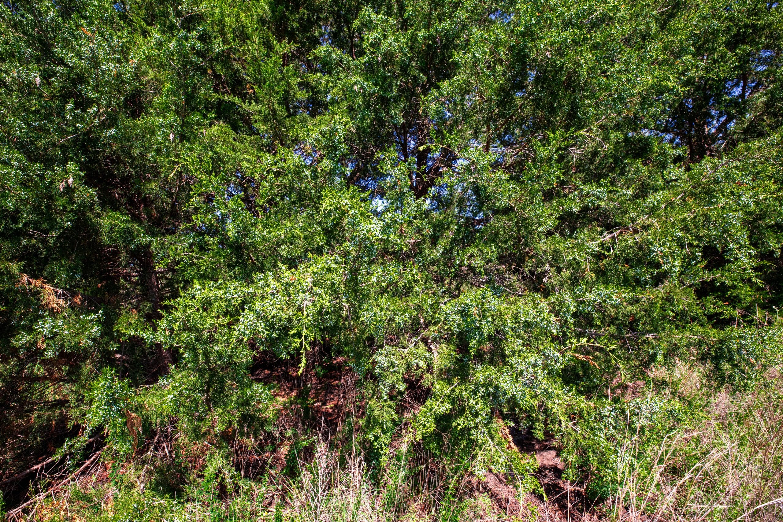 Prairie Grove Tract 18 photo 27