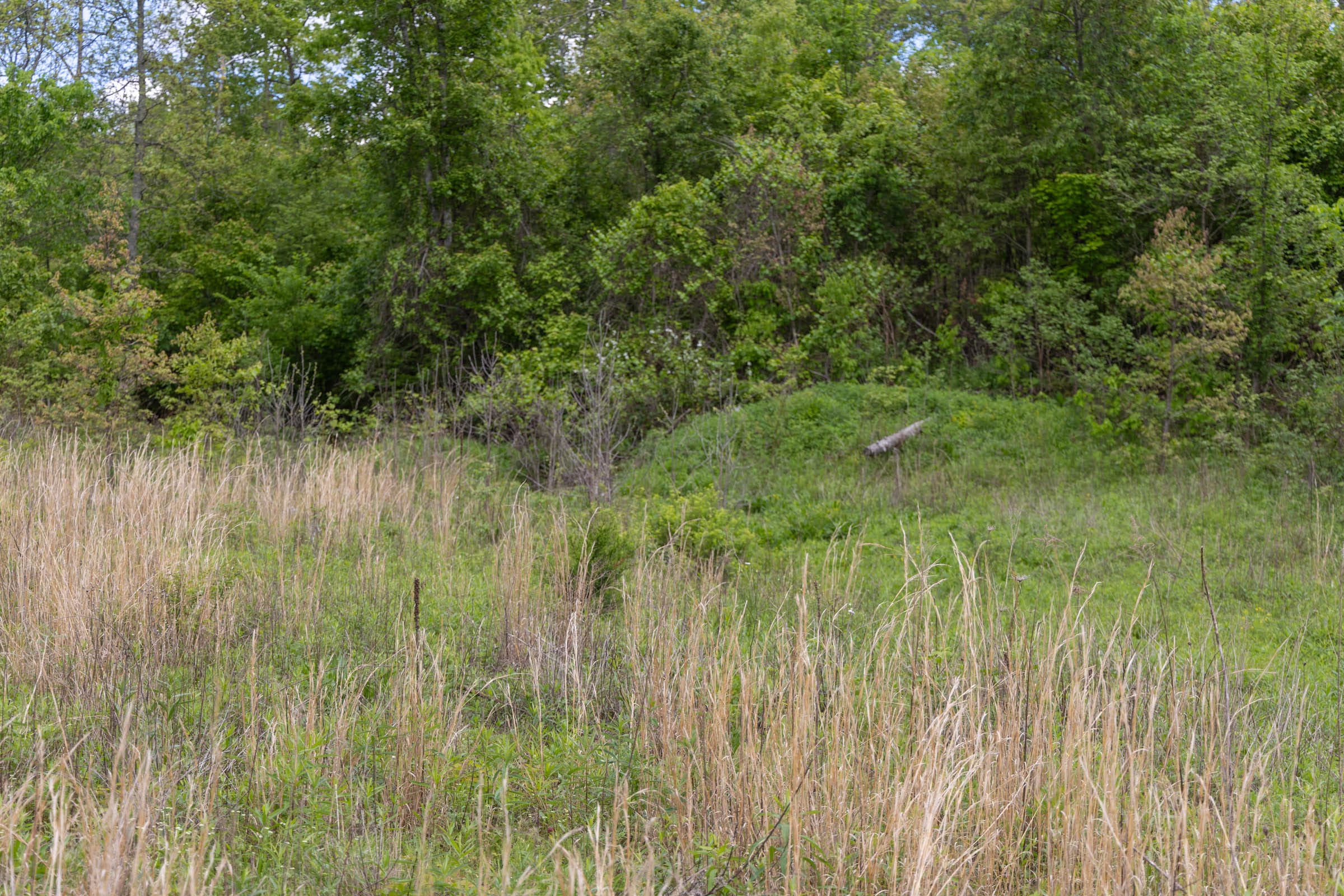 Sleepy Hollow Phase II Tract 94 photo 7