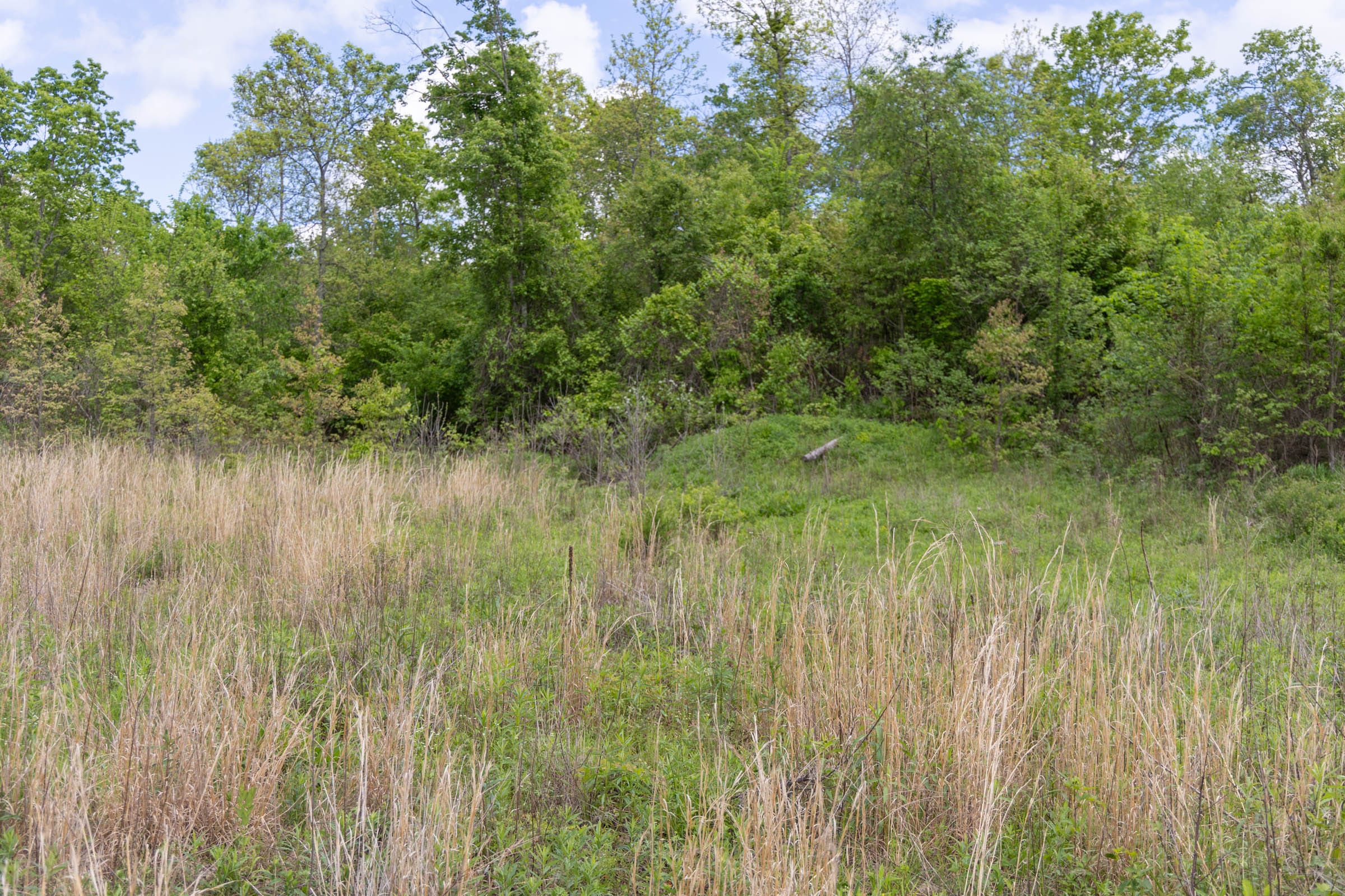 Sleepy Hollow Phase II Tract 94 photo 5