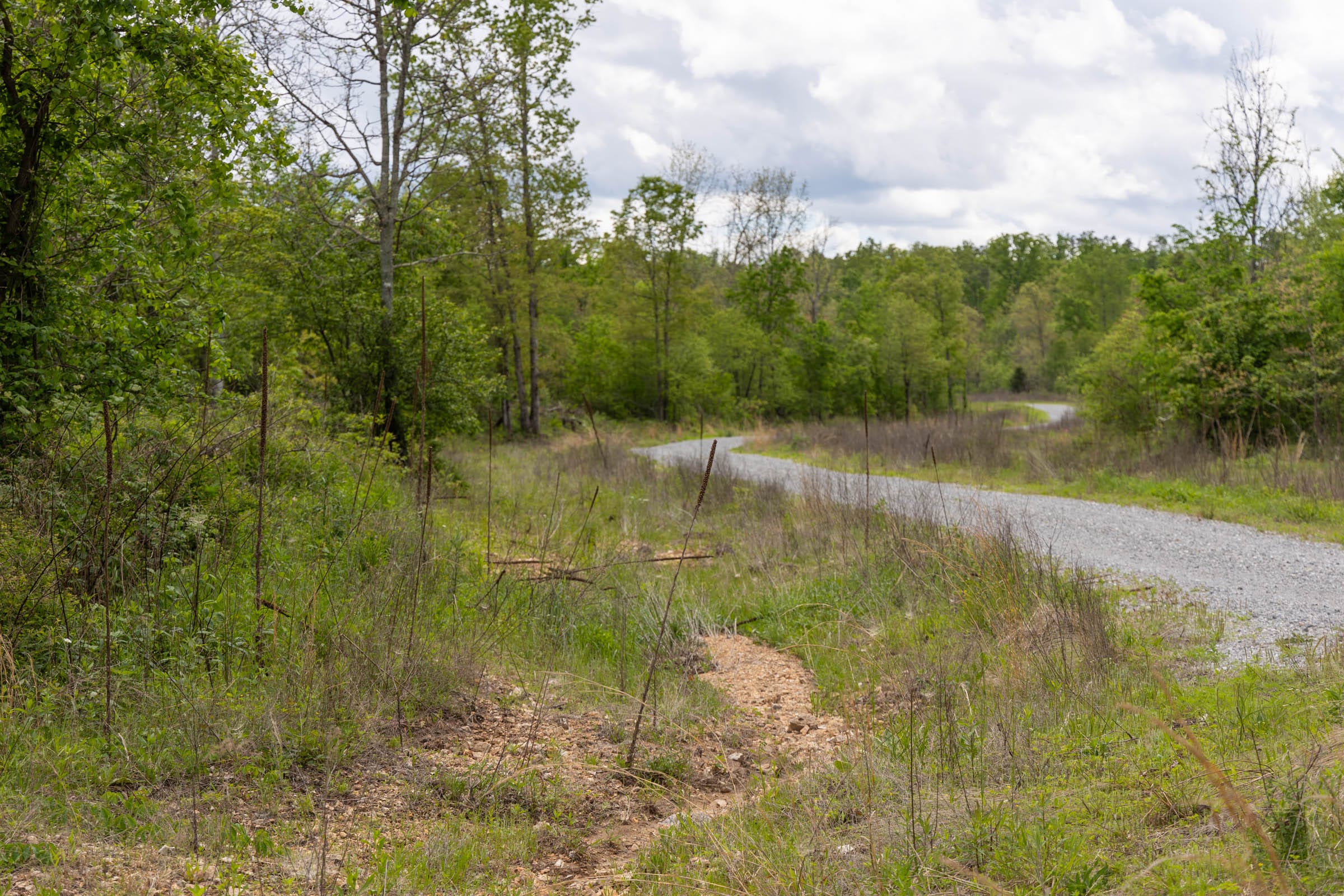 Sleepy Hollow Phase II Tract 94 photo 3
