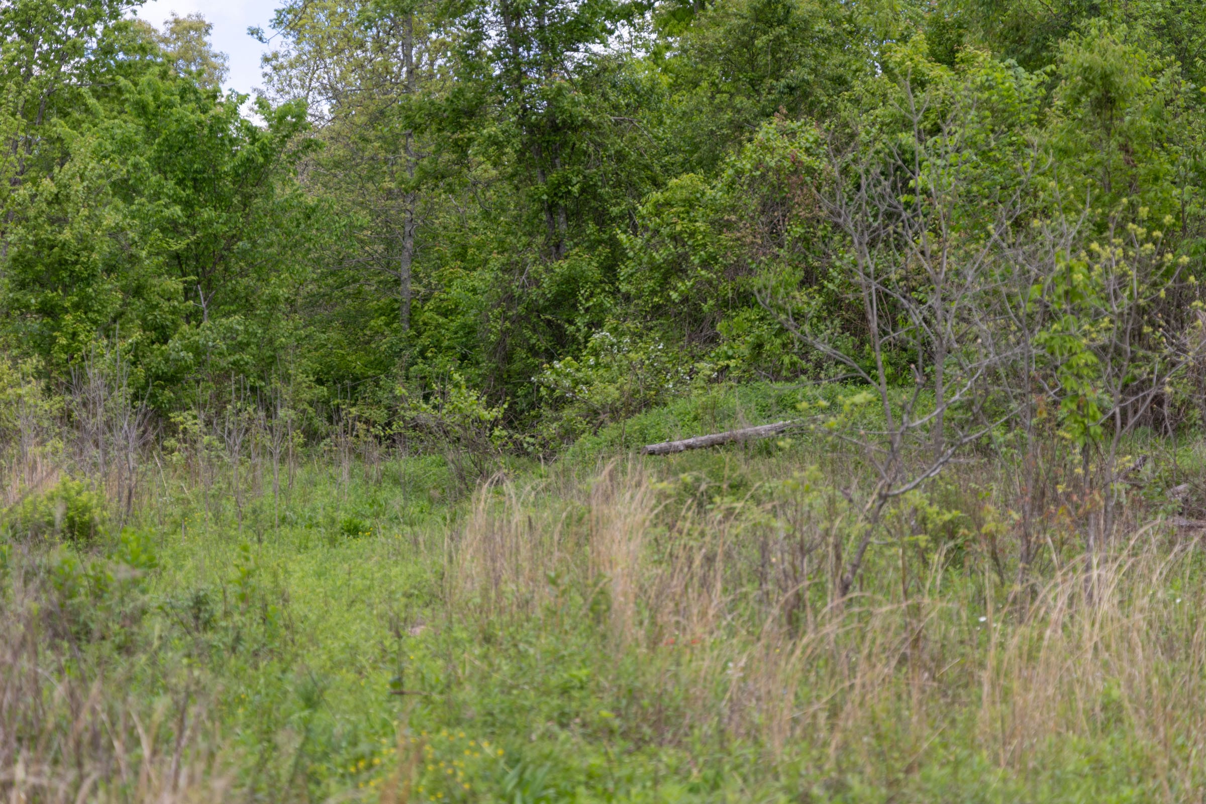 Sleepy Hollow Phase II Tract 94 photo 6