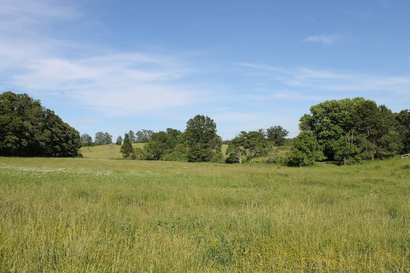 Valley View Ranch Tract 1 photo 6