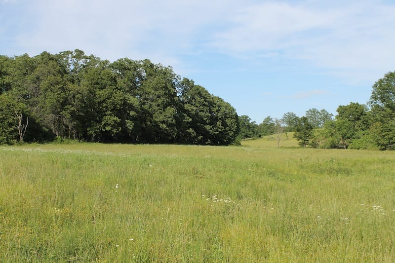 Valley View Ranch Tract 1 photo 9