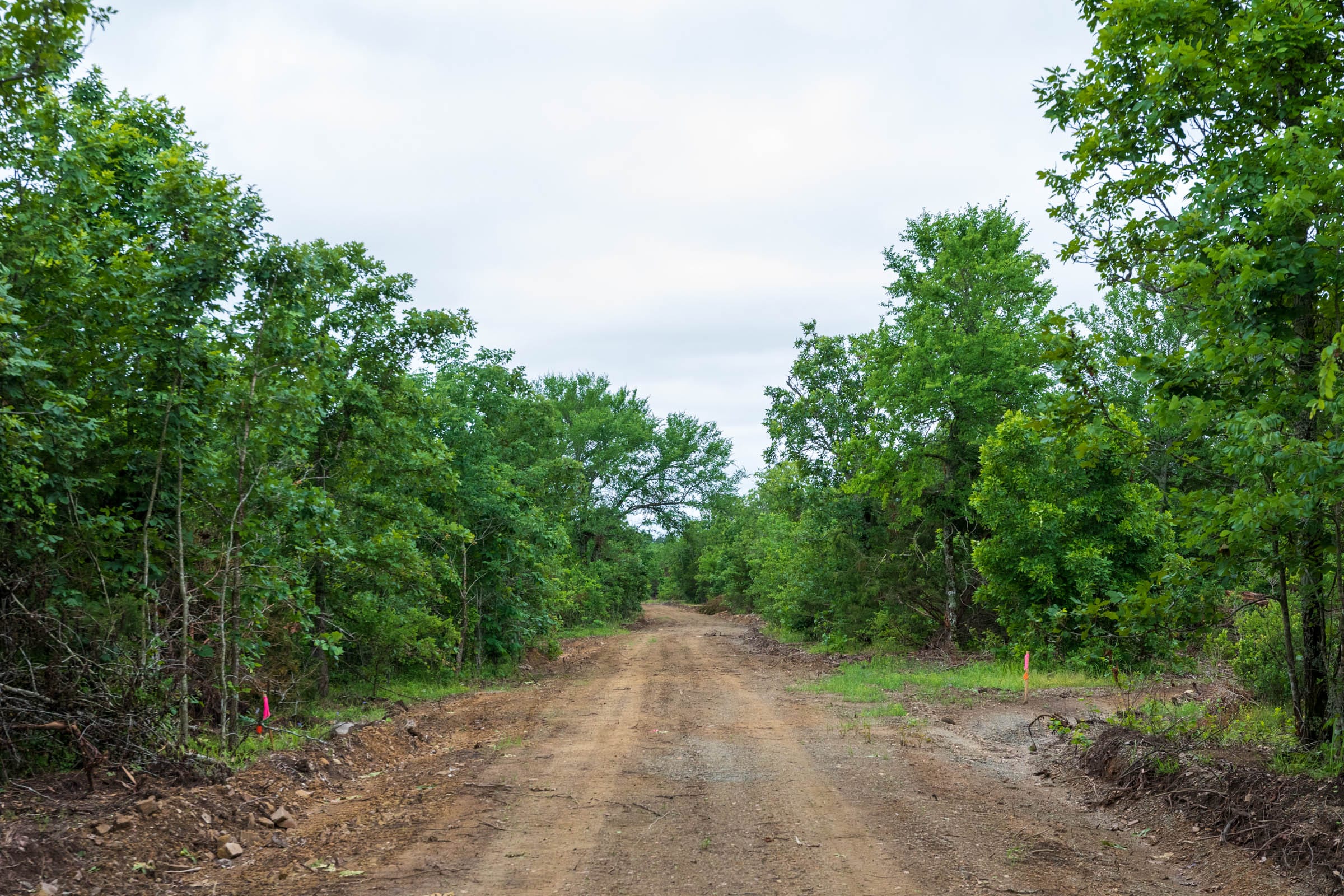 Falcon Crest Tract 9 photo 1